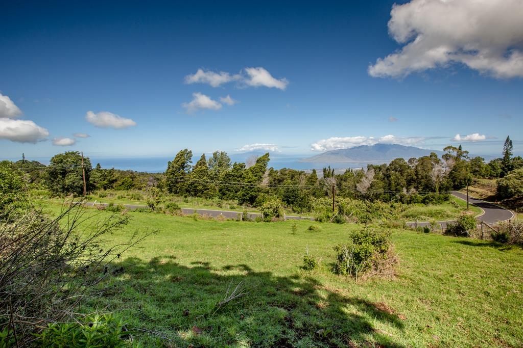 37 Middle Rd 2 Kula, Hi vacant land for sale - photo 14 of 19