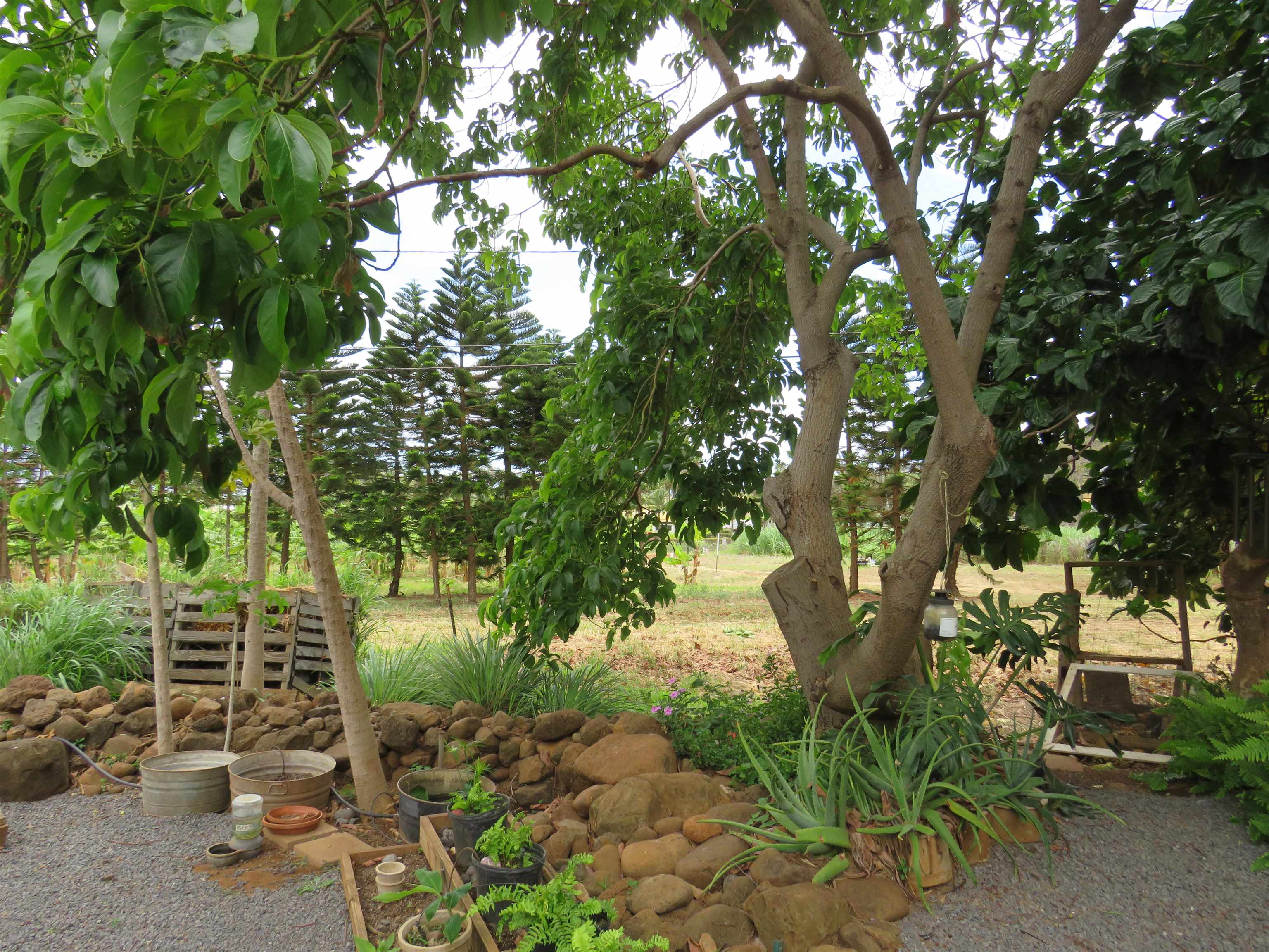 37  Olo Pl Waikapu, Wailuku home - photo 12 of 15