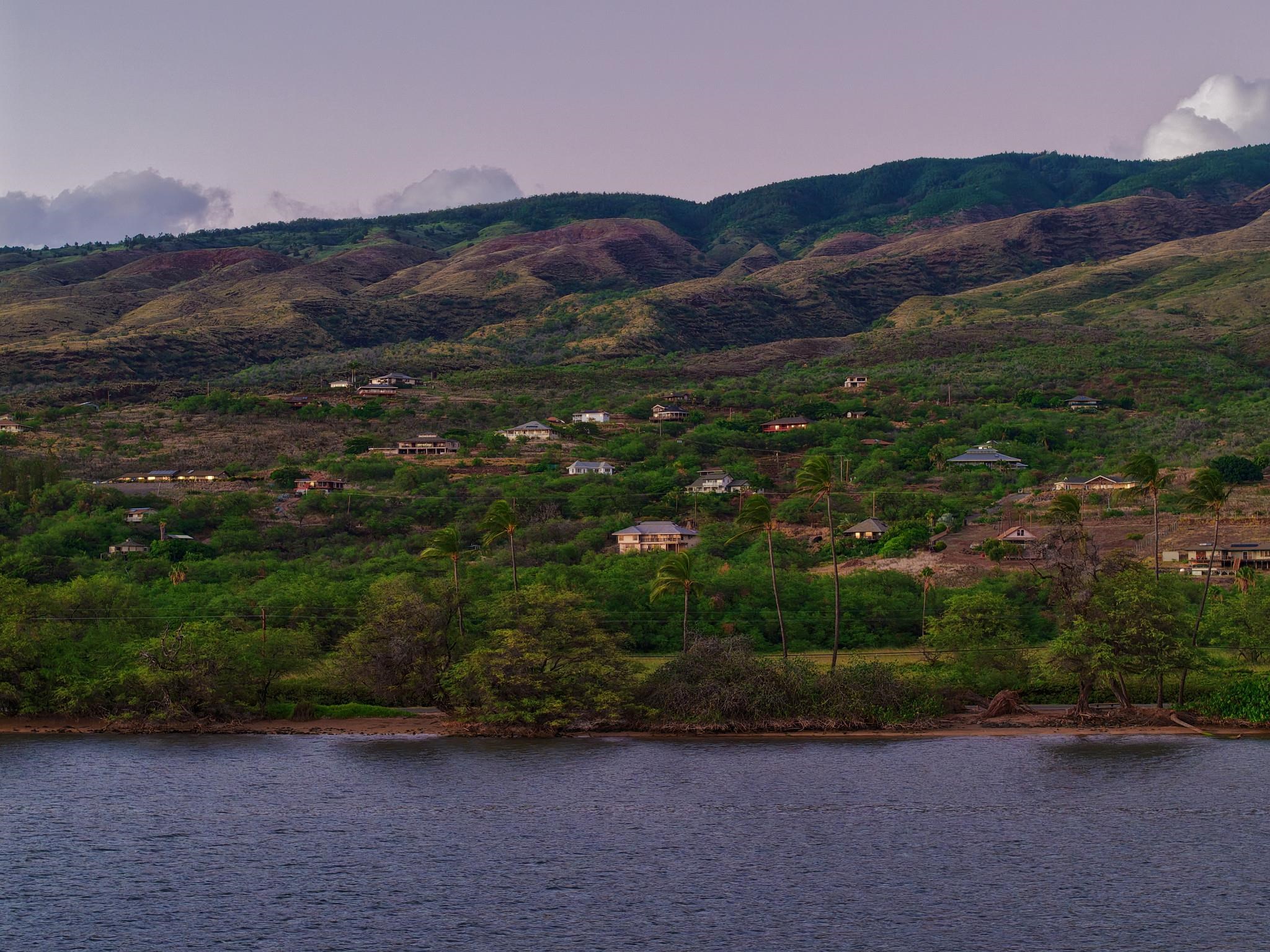 370  Onioni Dr , Molokai home - photo 47 of 49