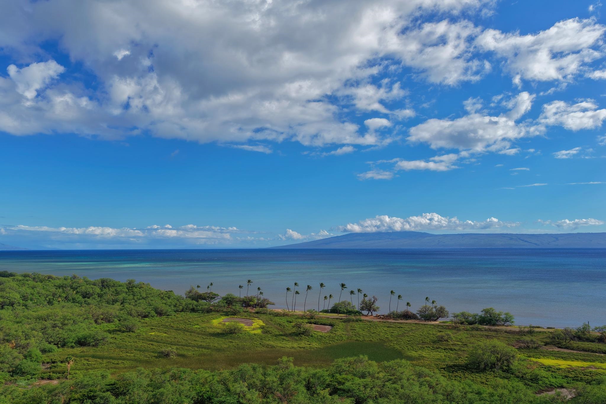 370  Onioni Dr , Molokai home - photo 7 of 49