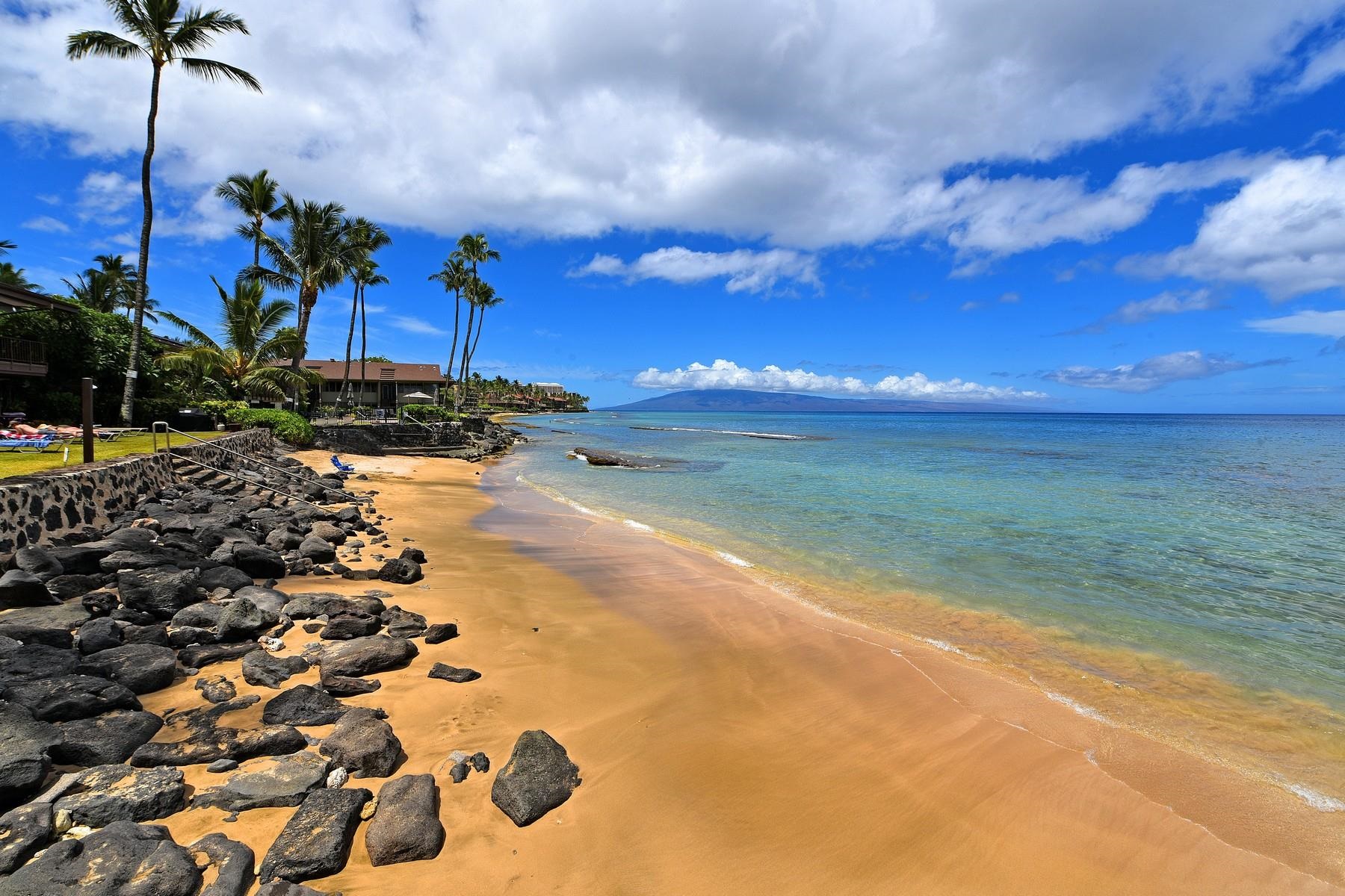 Pikake condo # 205, Lahaina, Hawaii - photo 24 of 29