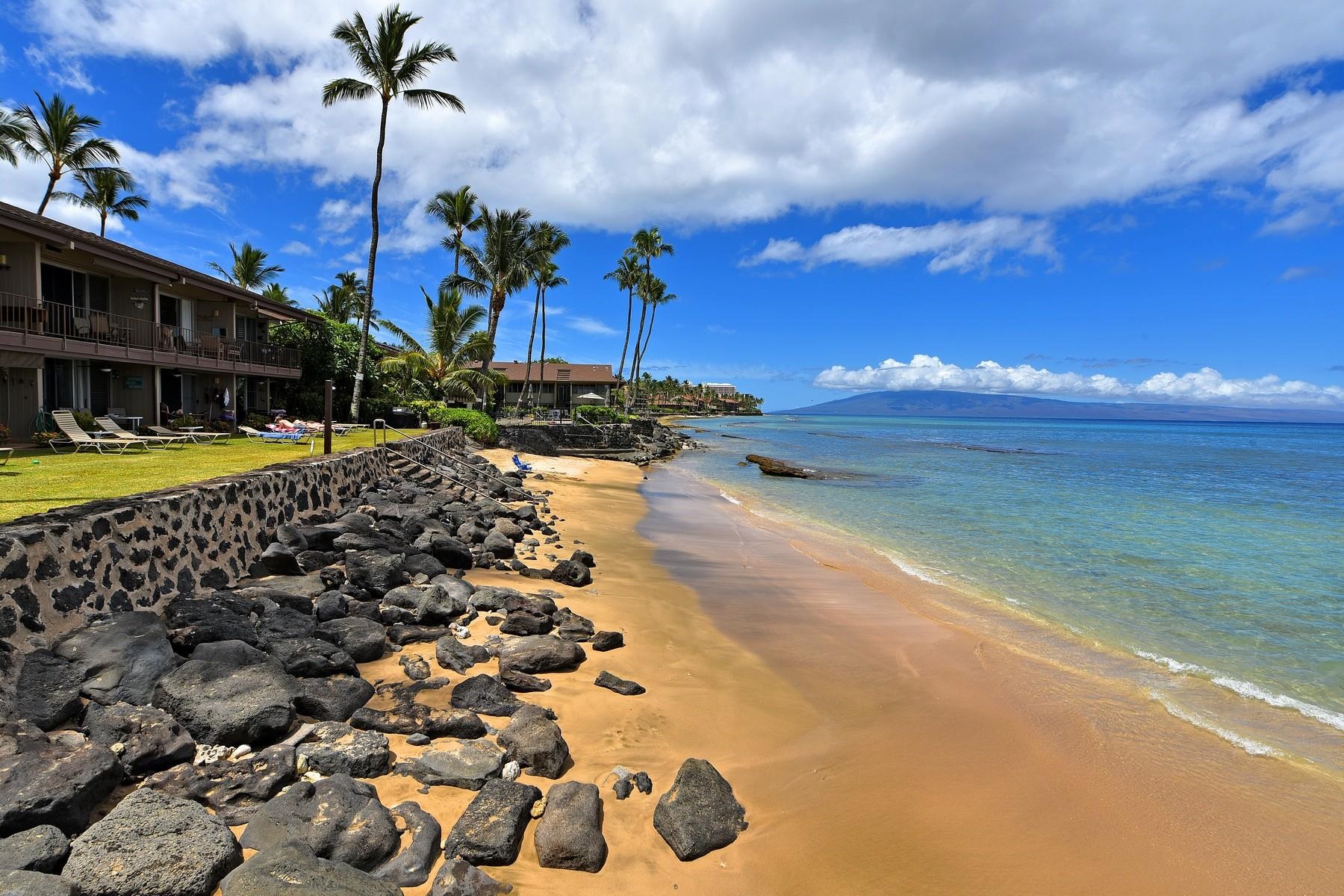Pikake condo # 205, Lahaina, Hawaii - photo 25 of 29