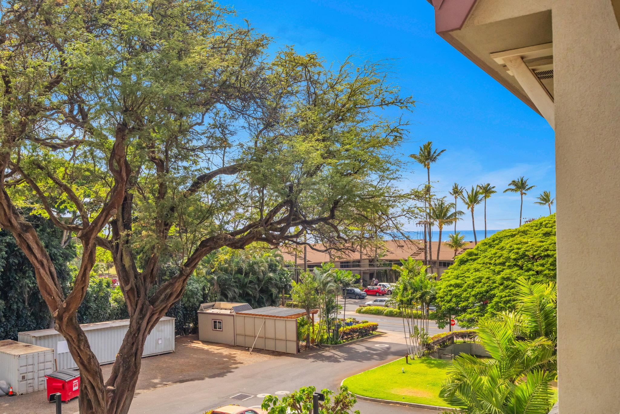 The Breakers condo # D-33, Lahaina, Hawaii - photo 27 of 38
