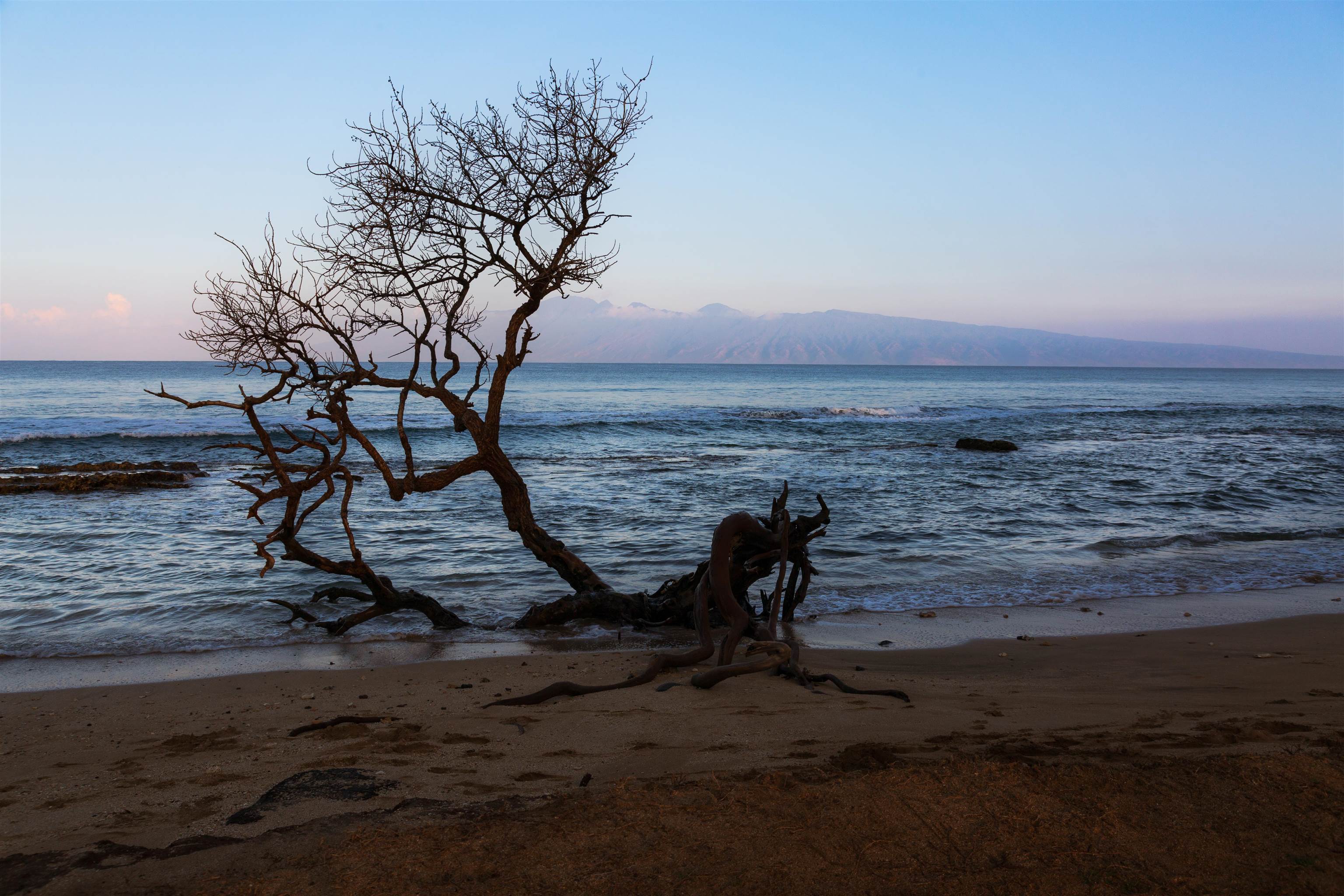 The Breakers condo # D34, Lahaina, Hawaii - photo 32 of 32