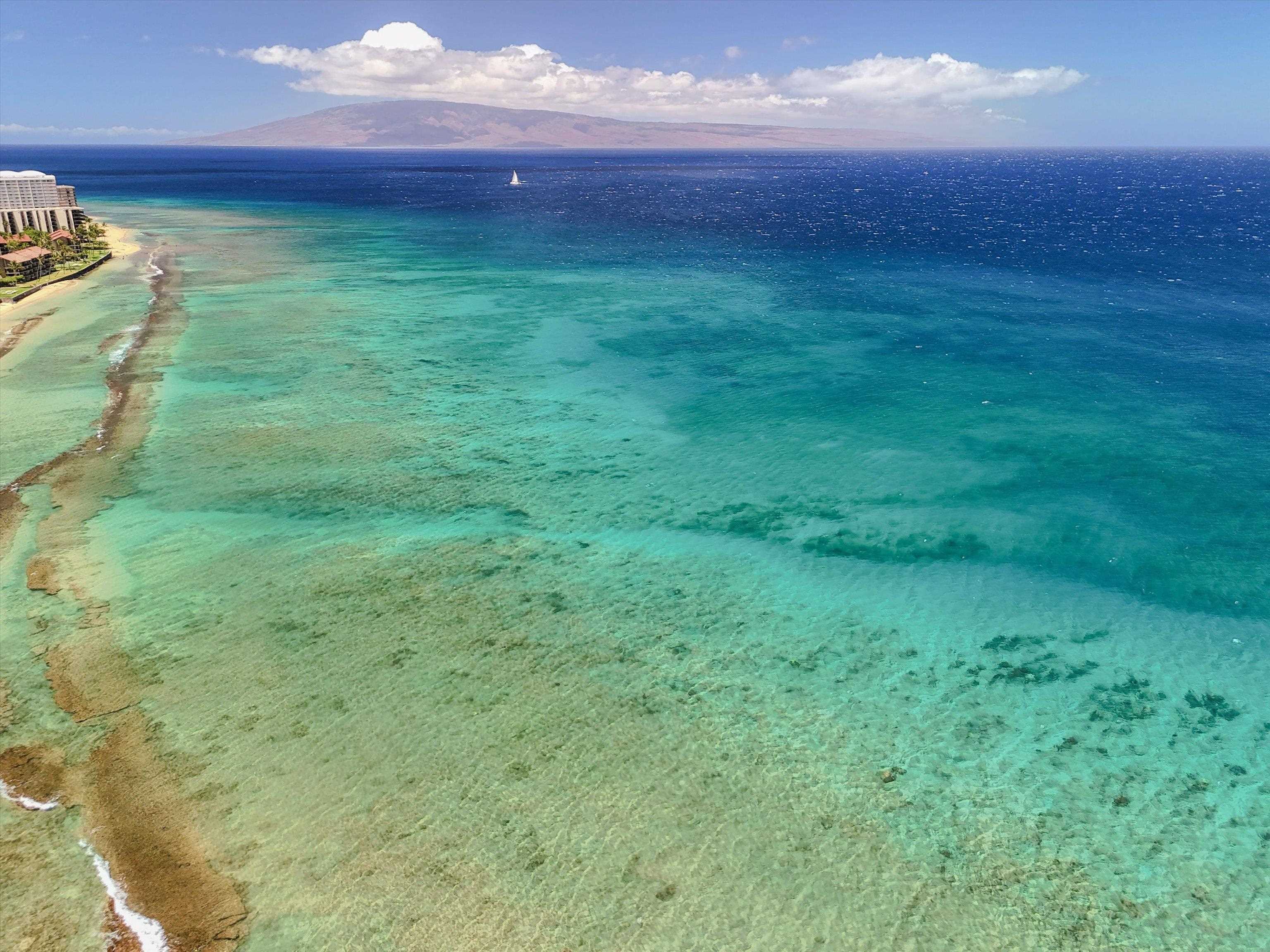 The Breakers condo # D-43, Lahaina, Hawaii - photo 31 of 38