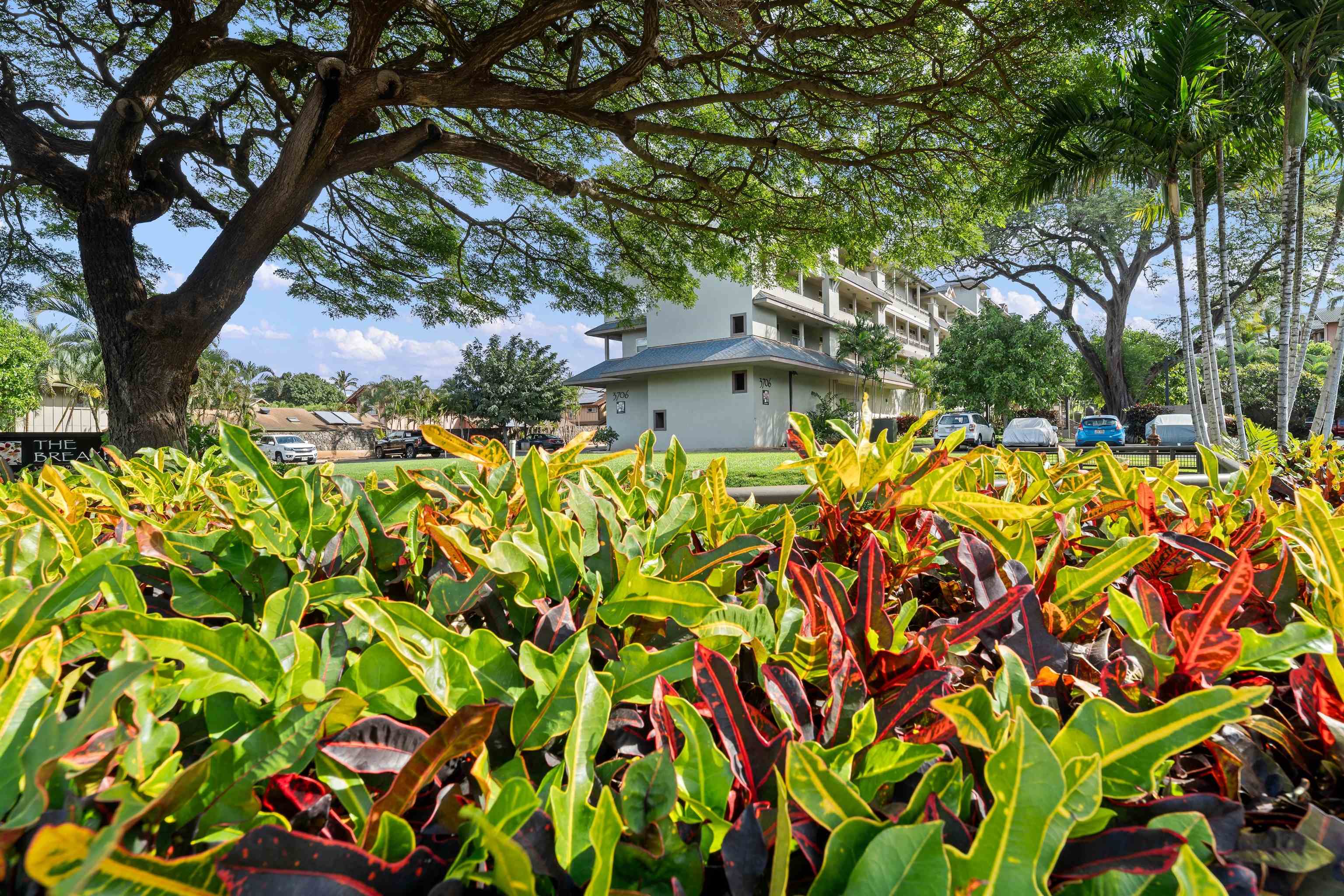 The Breakers condo # E20, Lahaina, Hawaii - photo 31 of 31