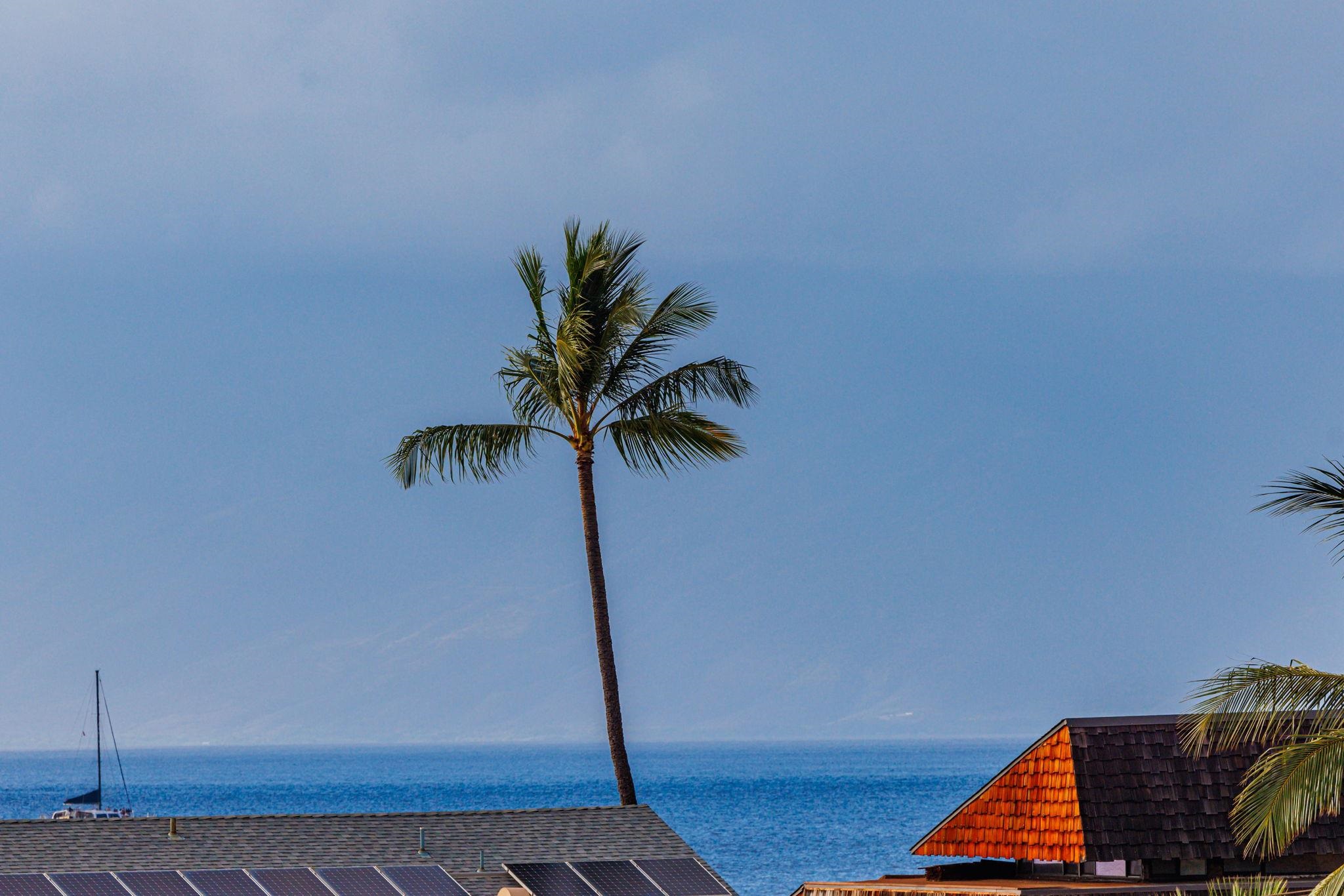 The Breakers condo # E-33, Lahaina, Hawaii - photo 26 of 36