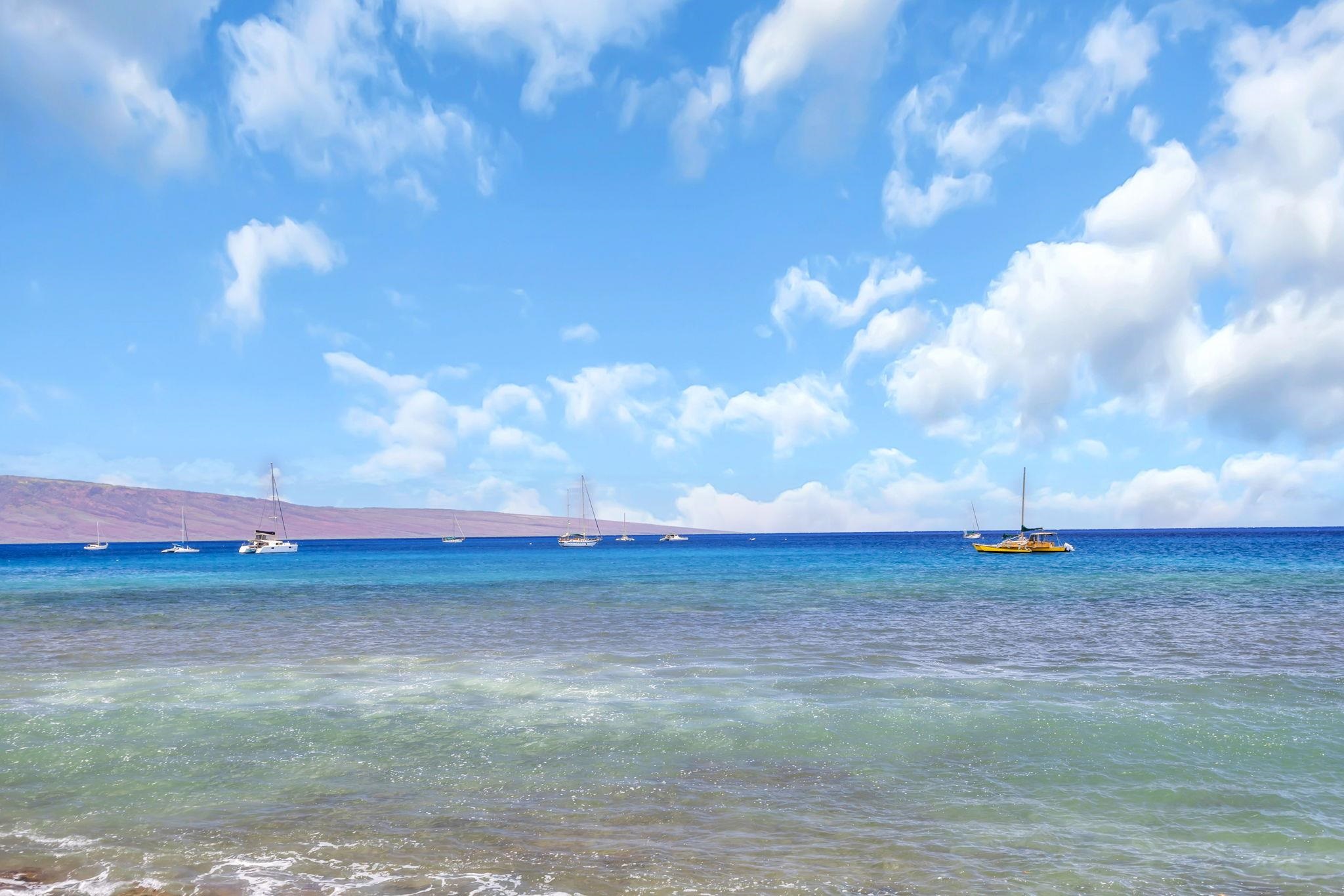 The Breakers condo # E-33, Lahaina, Hawaii - photo 36 of 36