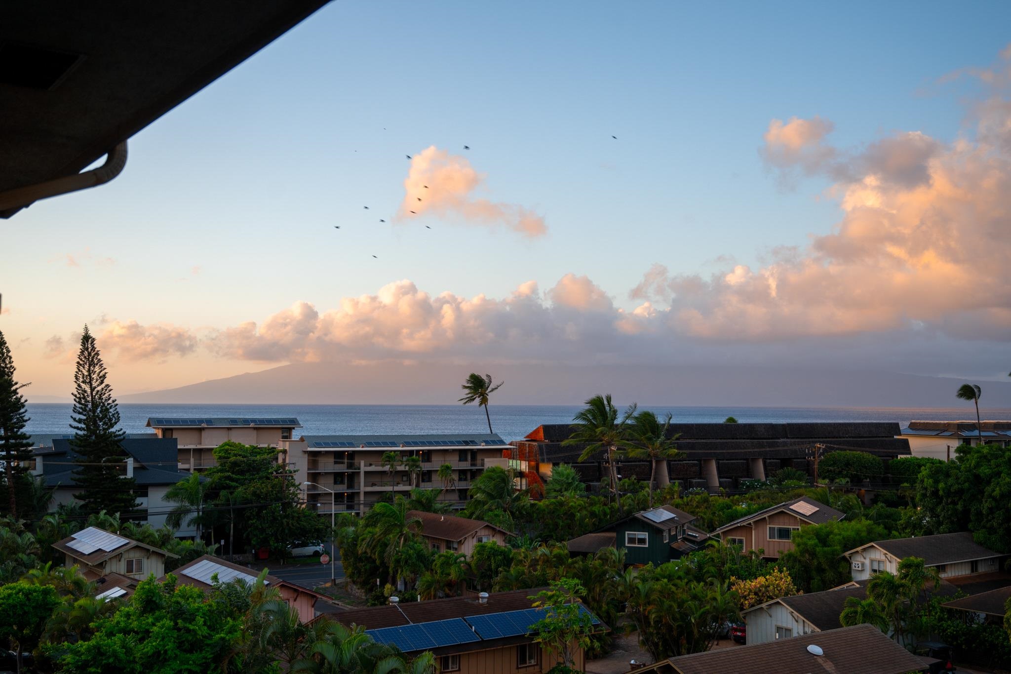 The Breakers condo # E41, Lahaina, Hawaii - photo 3 of 40