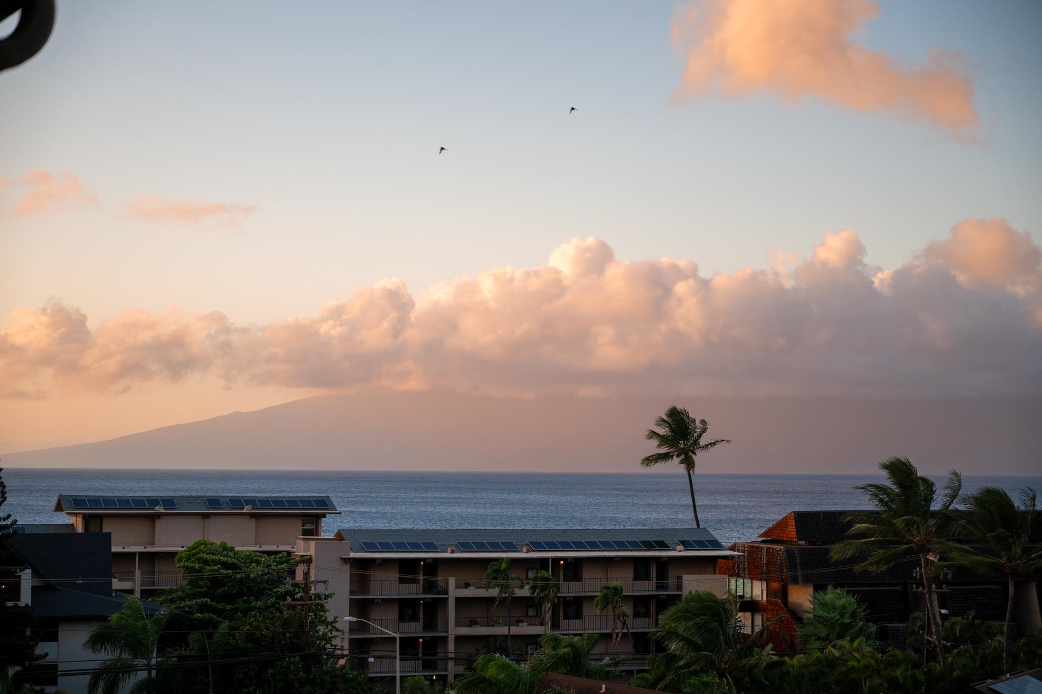 The Breakers condo # E41, Lahaina, Hawaii - photo 33 of 39