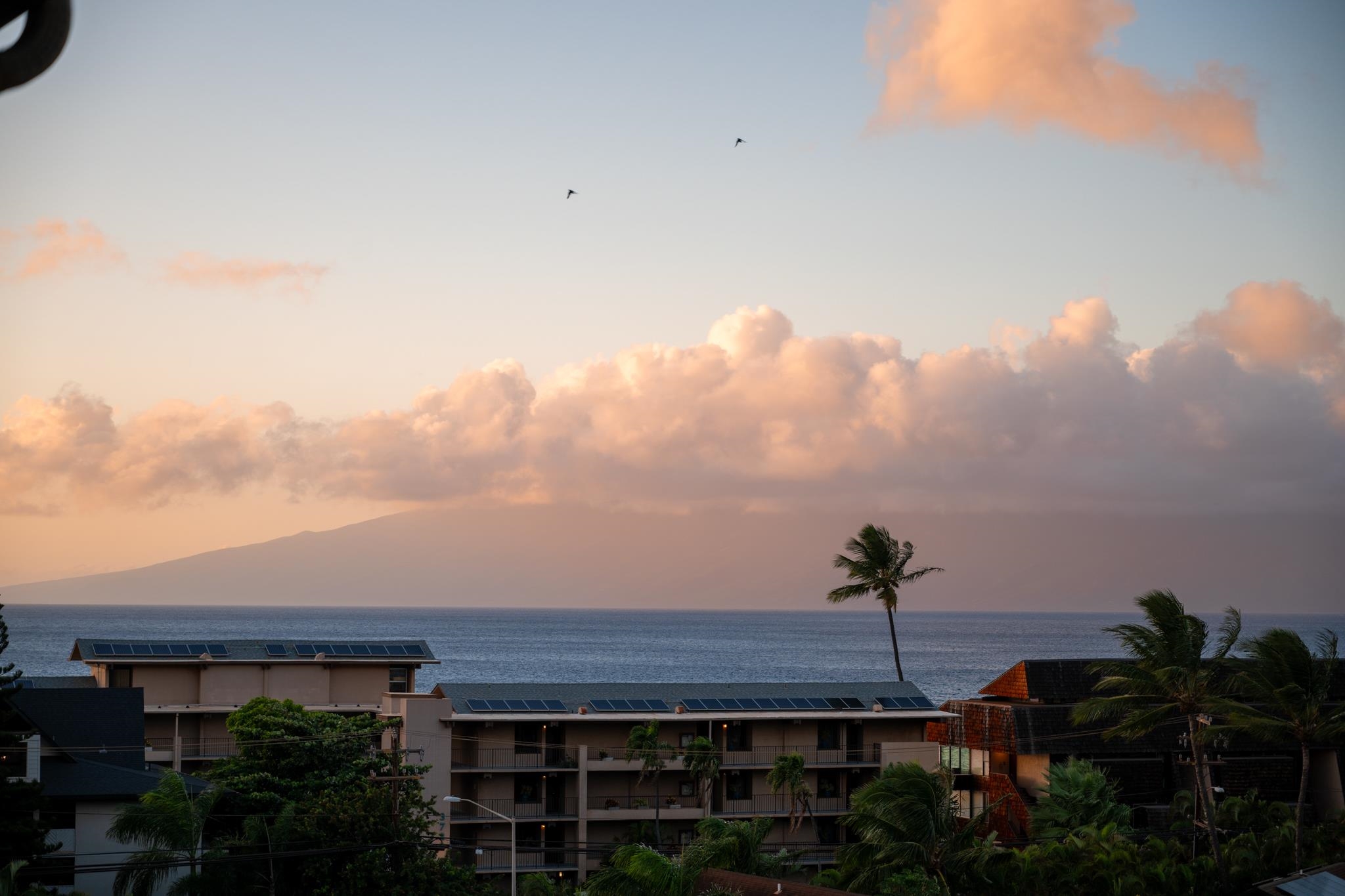 The Breakers condo # E41, Lahaina, Hawaii - photo 35 of 40