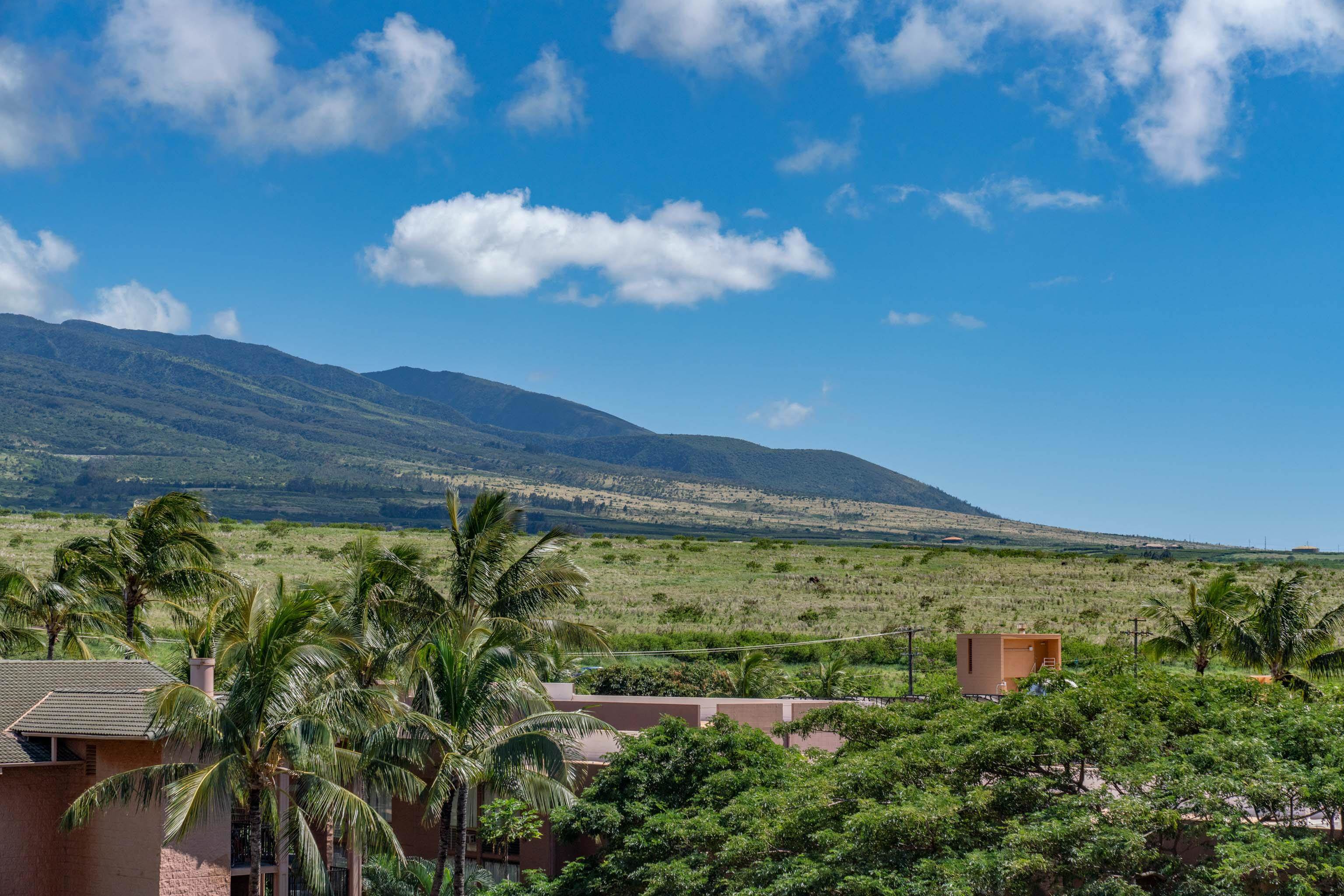 The Breakers condo # E43, Lahaina, Hawaii - photo 31 of 40