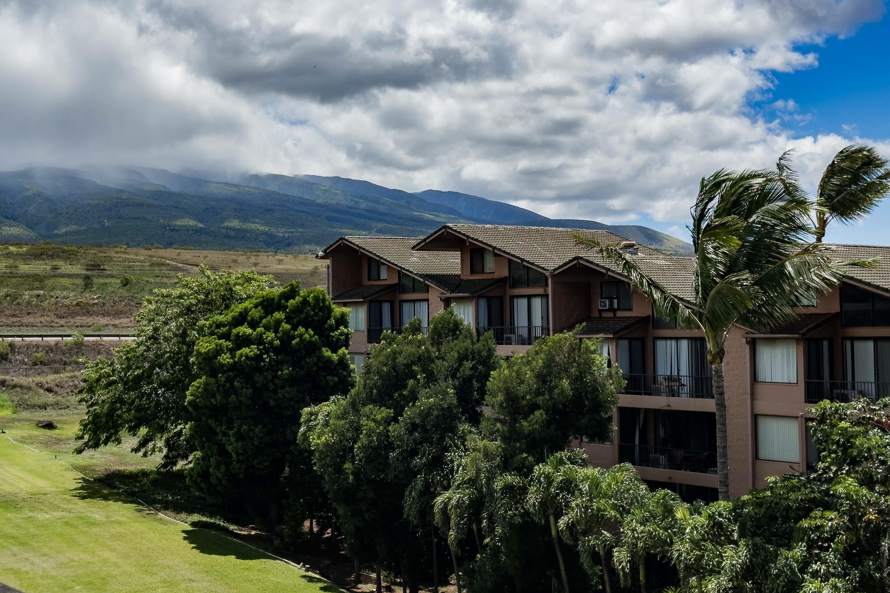 The Breakers condo # E43, Lahaina, Hawaii - photo 32 of 40