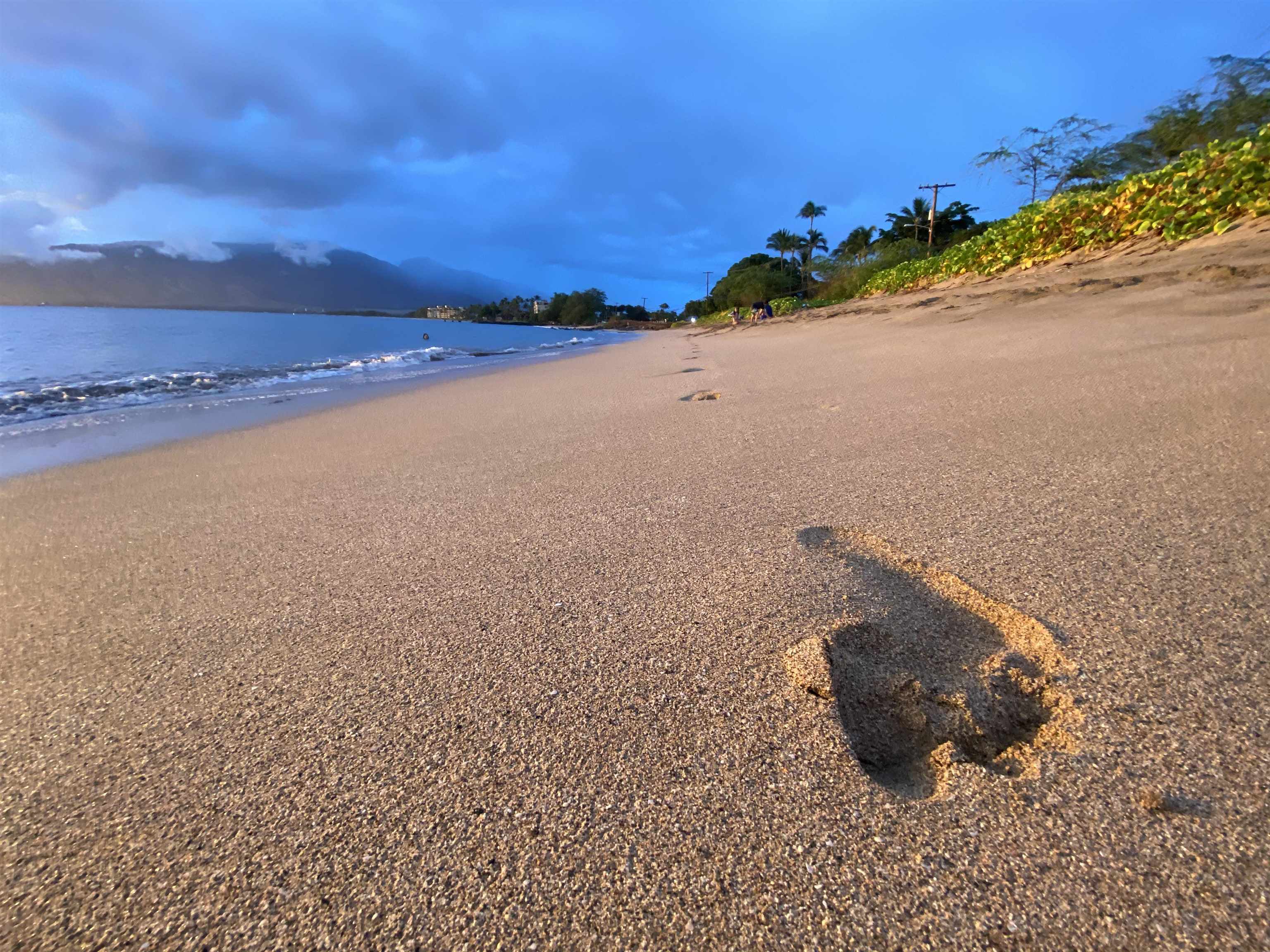 371 Kihei Rd  Kihei, Hi vacant land for sale - photo 11 of 41