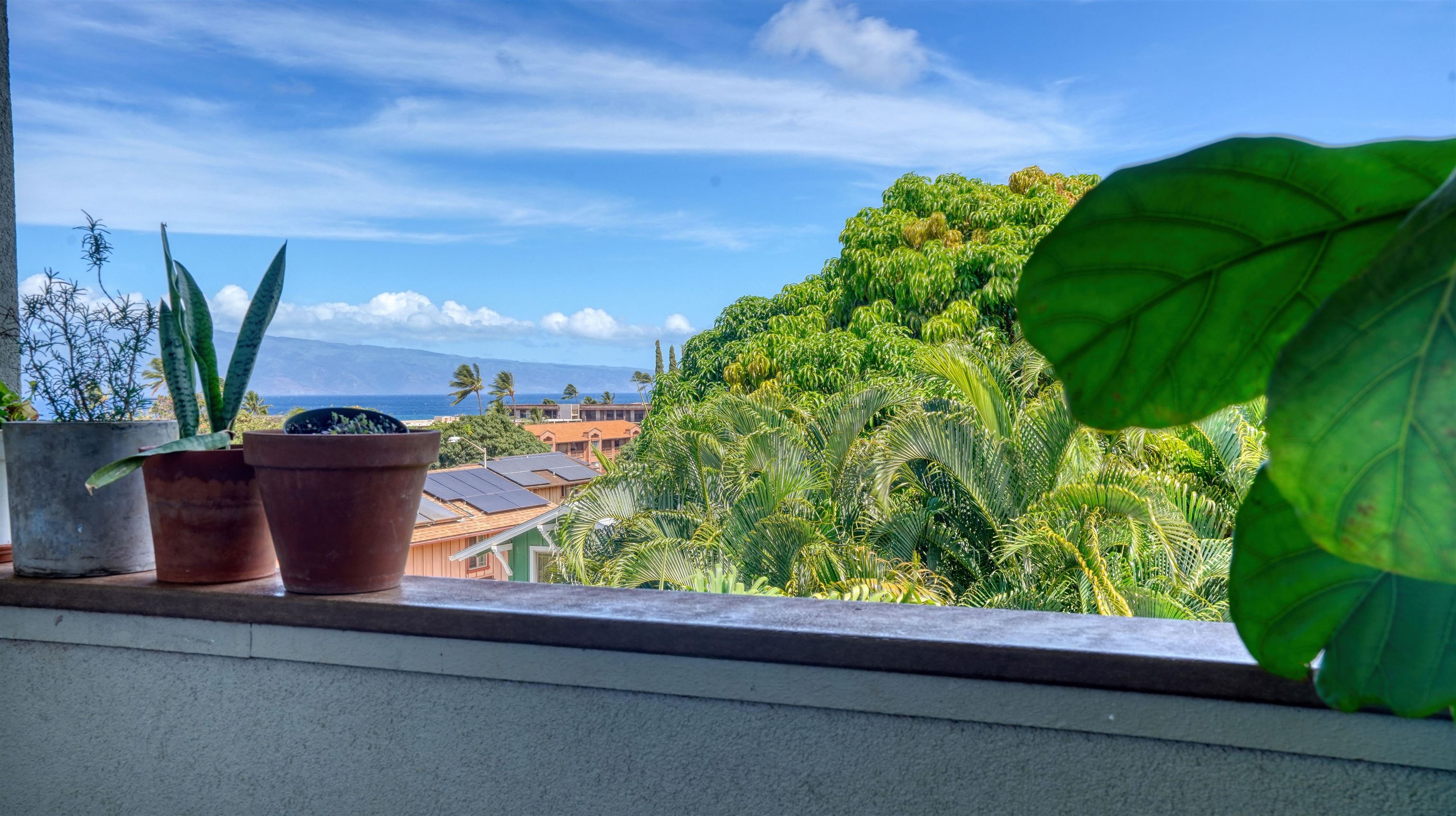 The Breakers condo # F44, Lahaina, Hawaii - photo 26 of 39