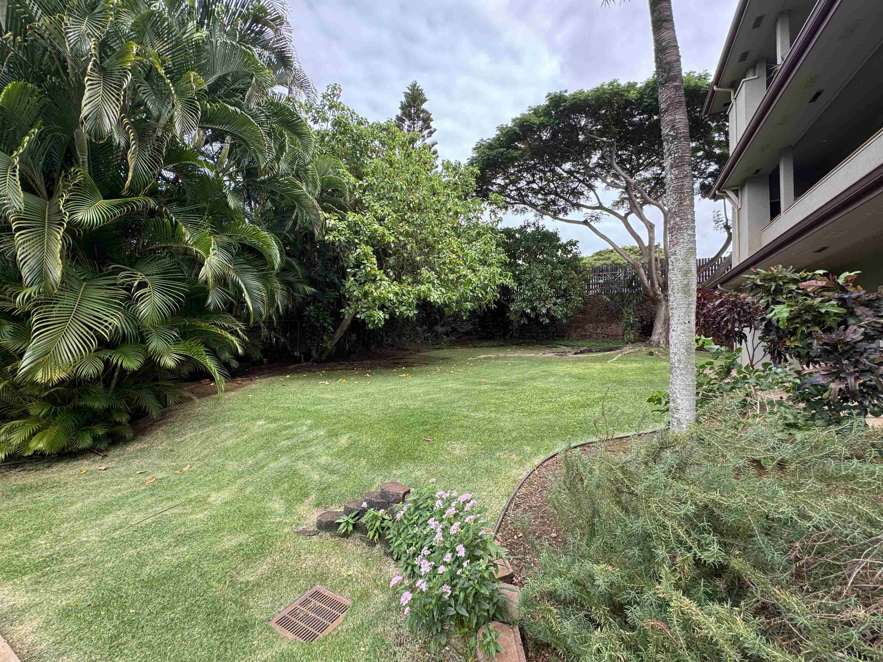 The Breakers condo # F44, Lahaina, Hawaii - photo 29 of 39