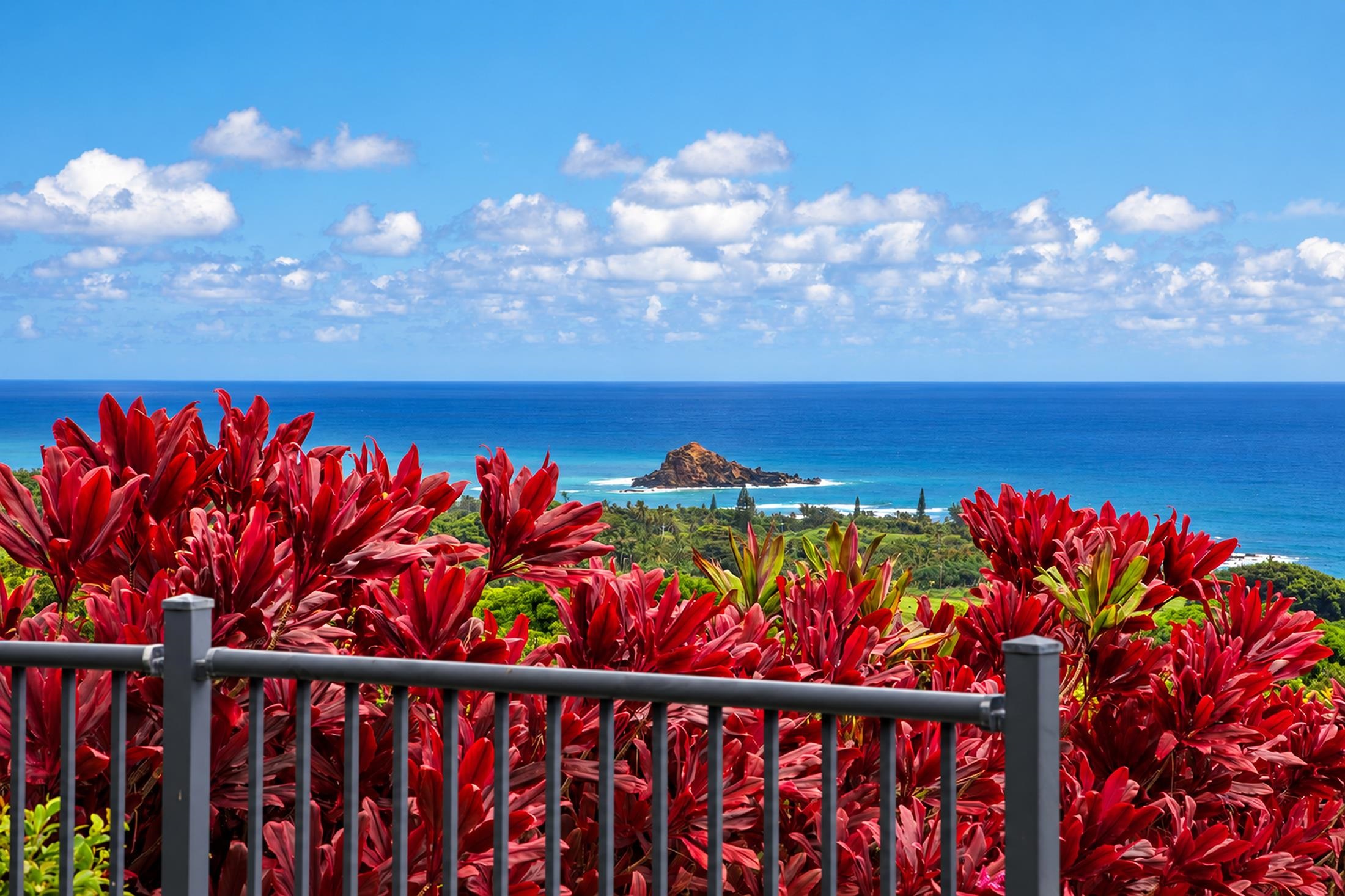 37 & 213  Kapia Rd , Hana home - photo 21 of 50