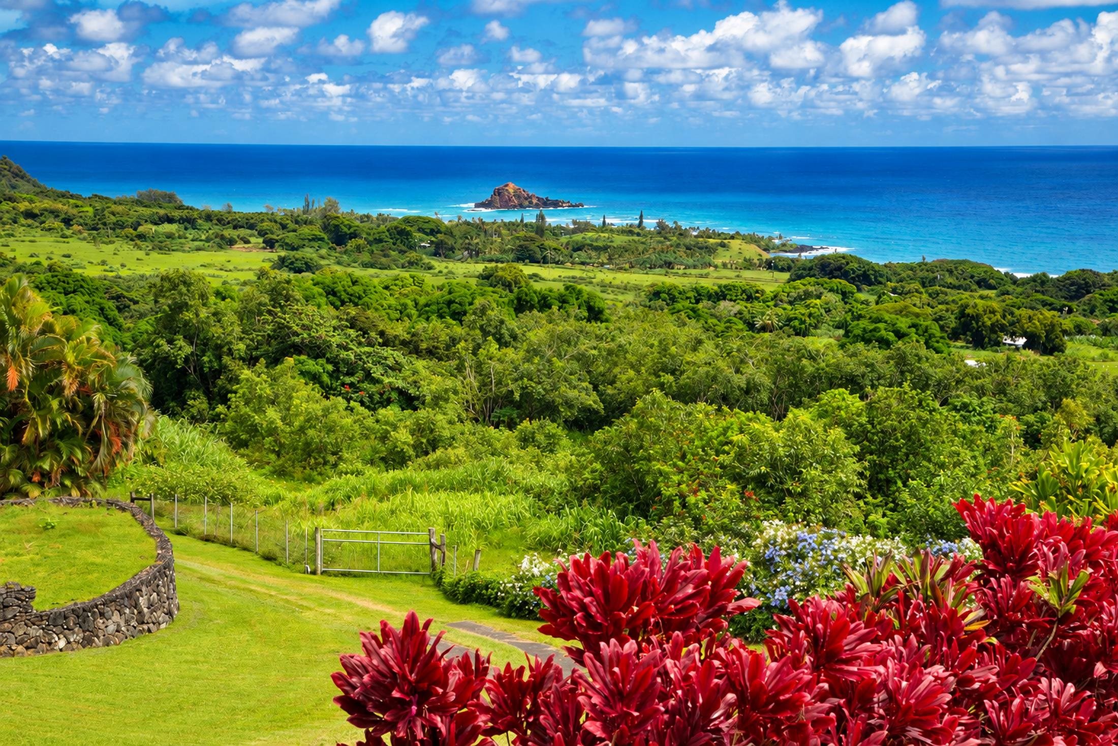 37 & 213  Kapia Rd , Hana home - photo 4 of 50