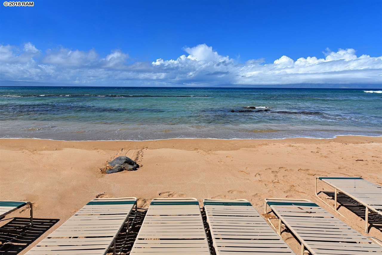 Nohonani condo # 401, Lahaina, Hawaii - photo 10 of 30