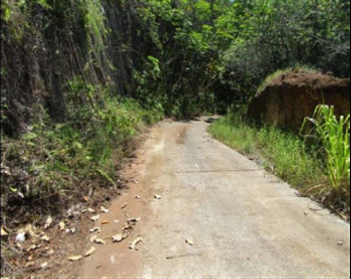 3737 Kahekili Hwy  Wailuku, Hi vacant land for sale - photo 4 of 14