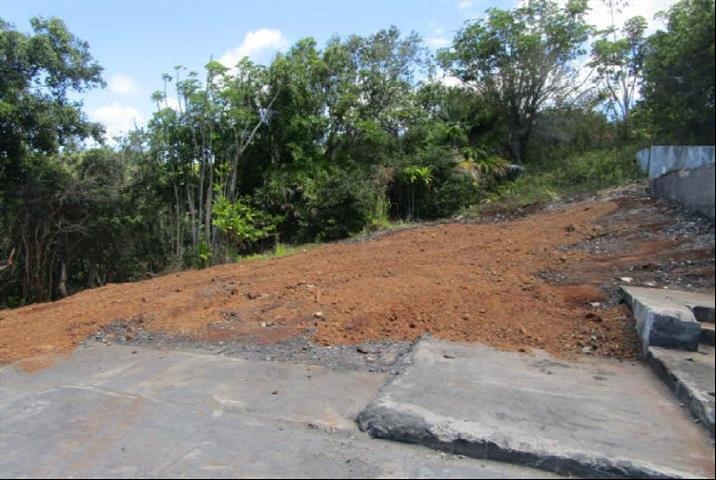 3737 Kahekili Hwy  Wailuku, Hi vacant land for sale - photo 9 of 14