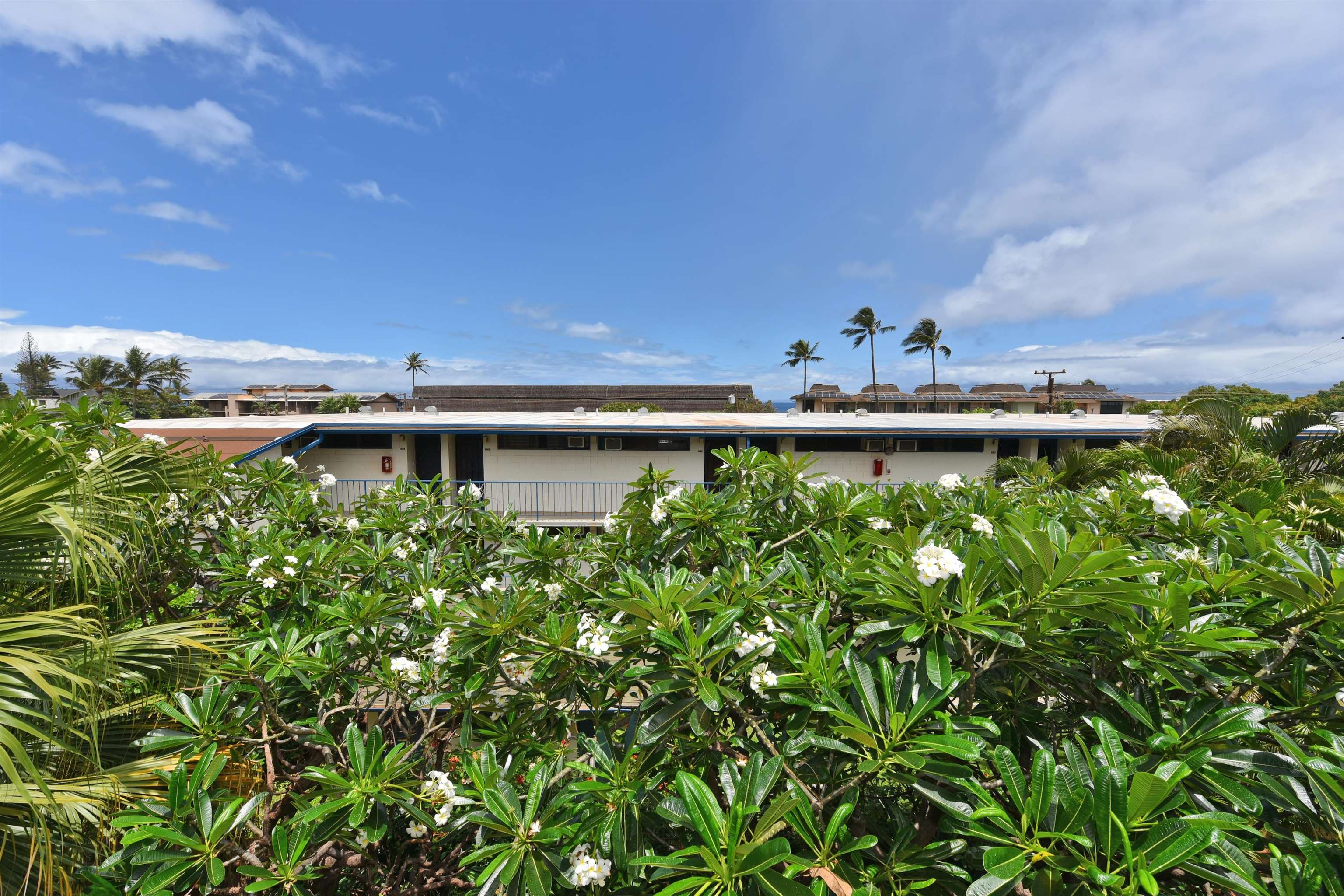 Maui Lani Terraces condo # A305, Lahaina, Hawaii - photo 28 of 37