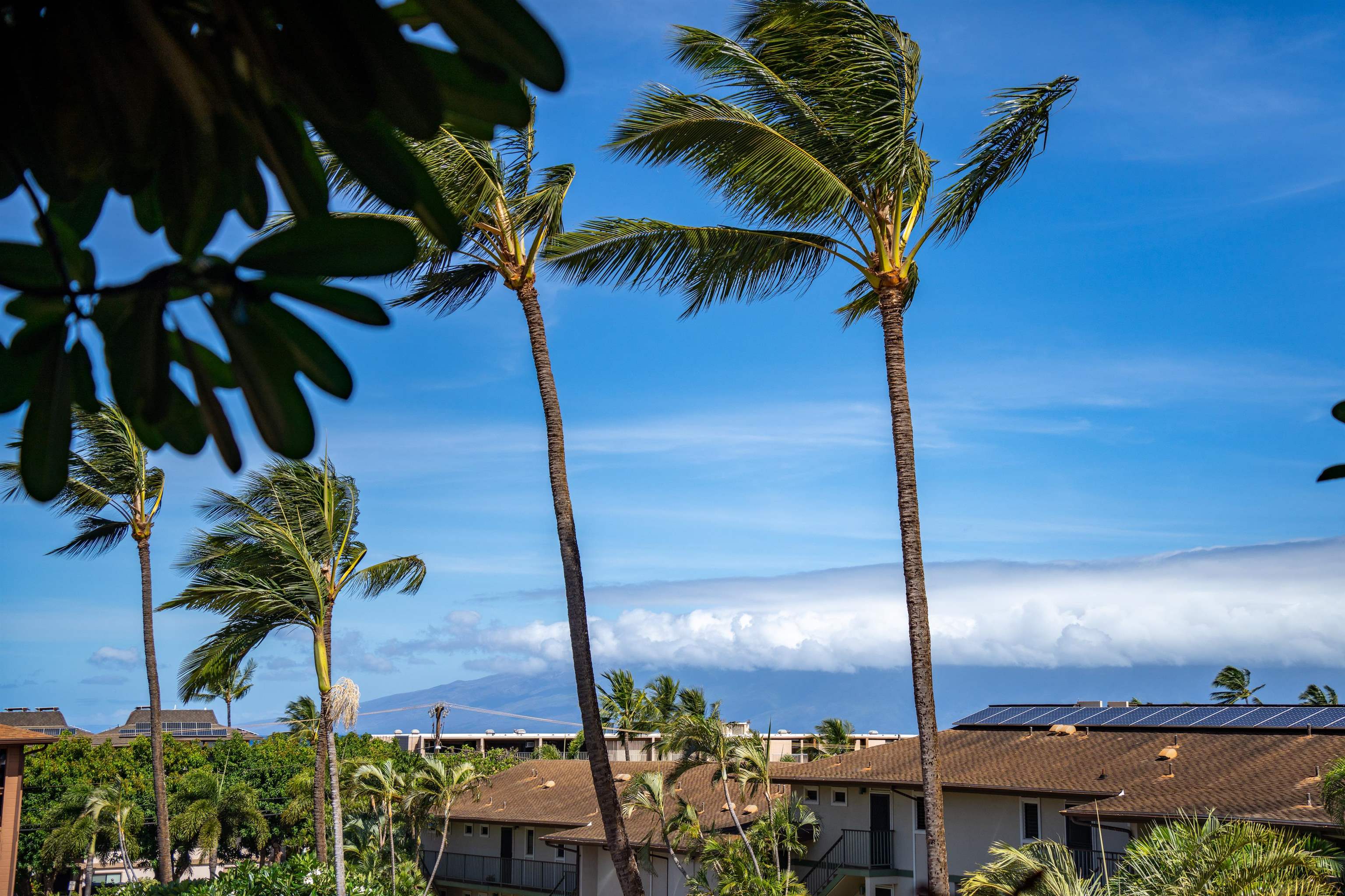 Maui Lani Terraces condo # C106, Lahaina, Hawaii - photo 2 of 23
