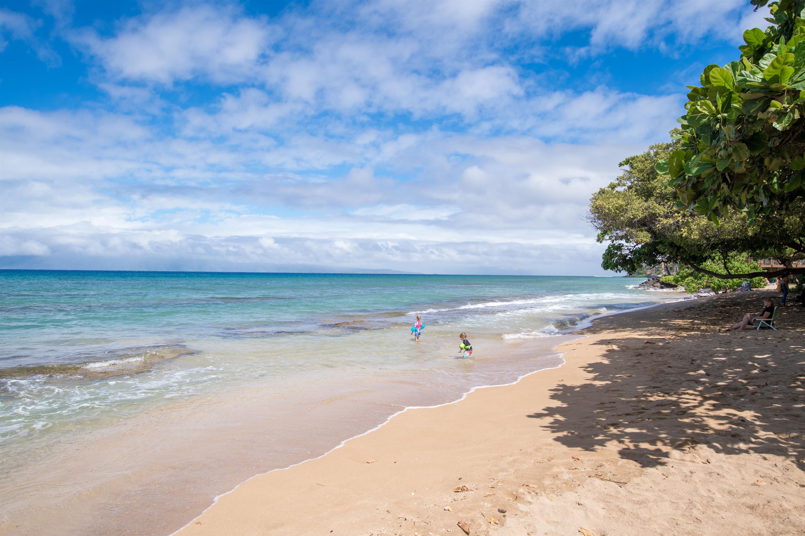 Maui Lani Terraces condo # C106, Lahaina, Hawaii - photo 23 of 23