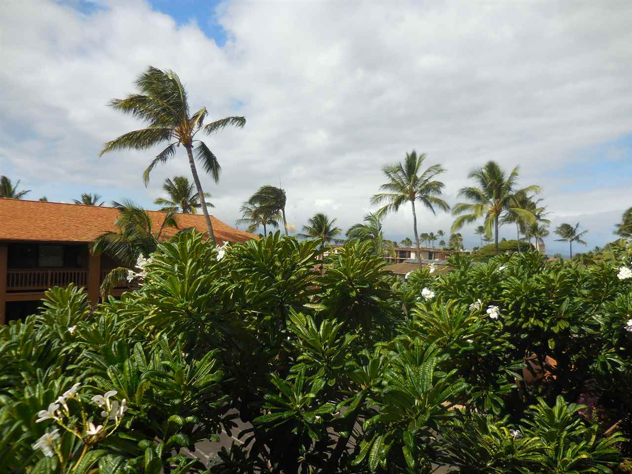 Maui Lani Terraces condo # C202, Lahaina, Hawaii - photo 2 of 2
