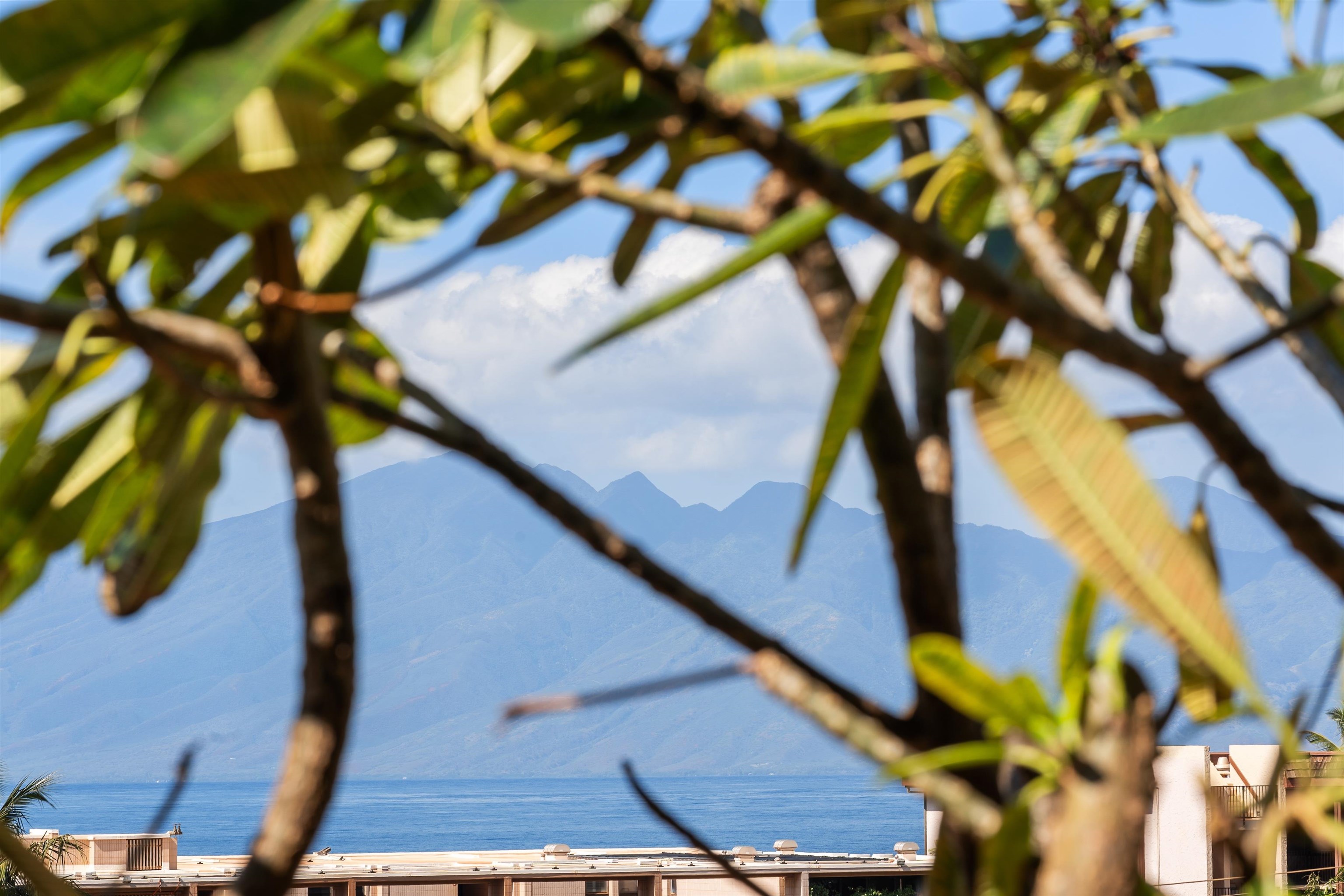 Maui Lani Terraces condo # C207, Lahaina, Hawaii - photo 14 of 23