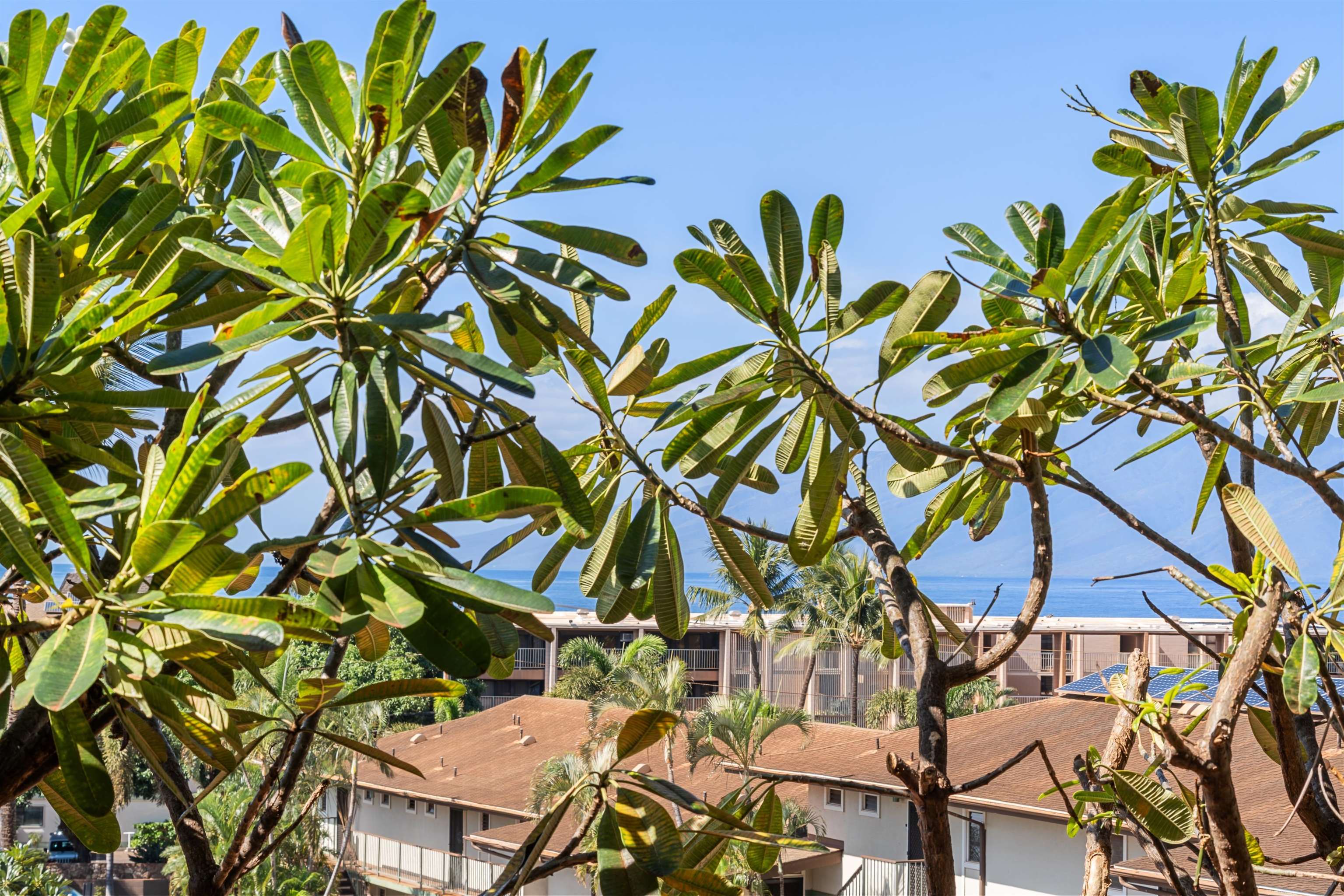 Maui Lani Terraces condo # C207, Lahaina, Hawaii - photo 4 of 23