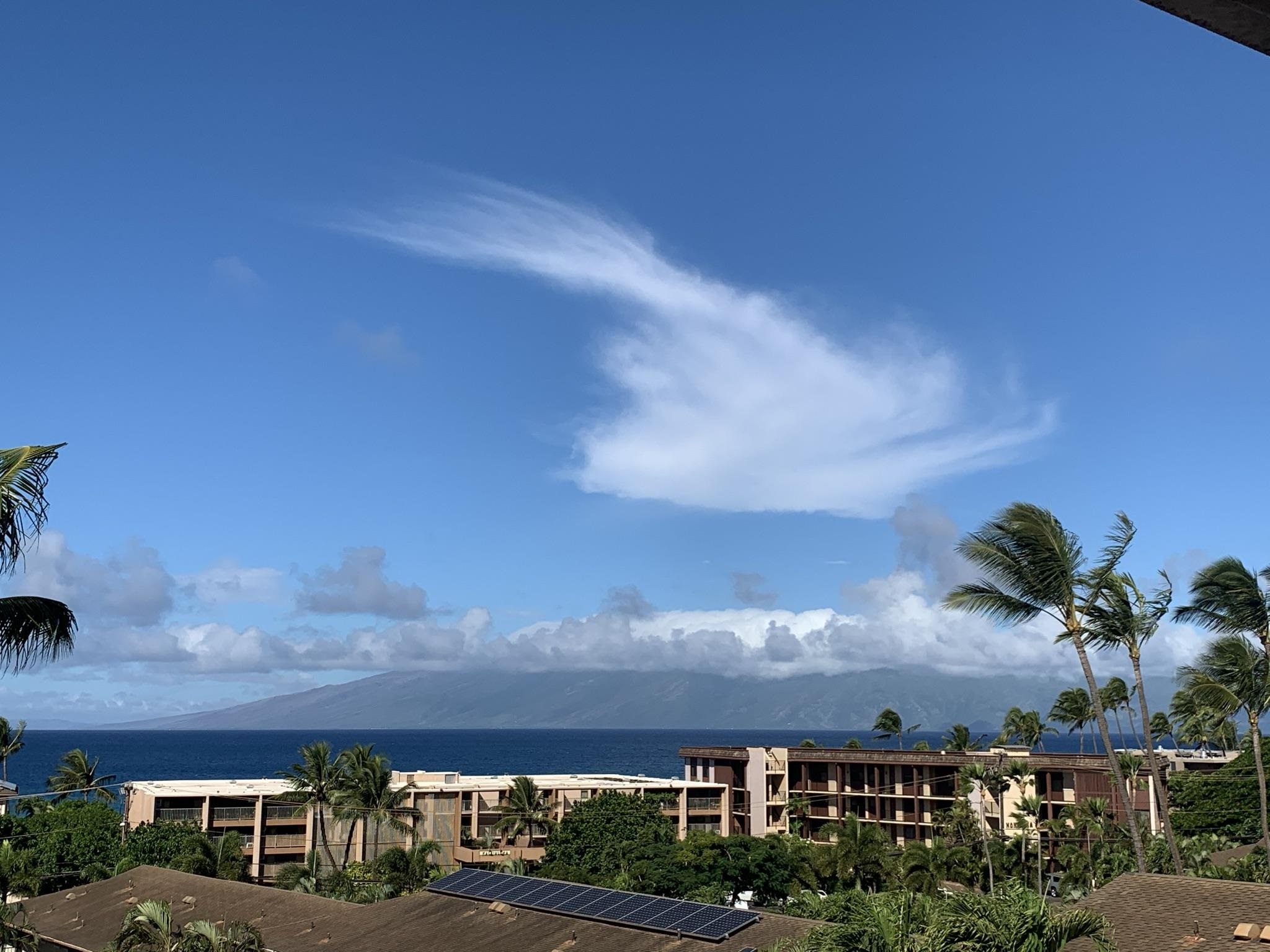 Maui Lani Terraces condo # C308, Lahaina, Hawaii - photo 16 of 20