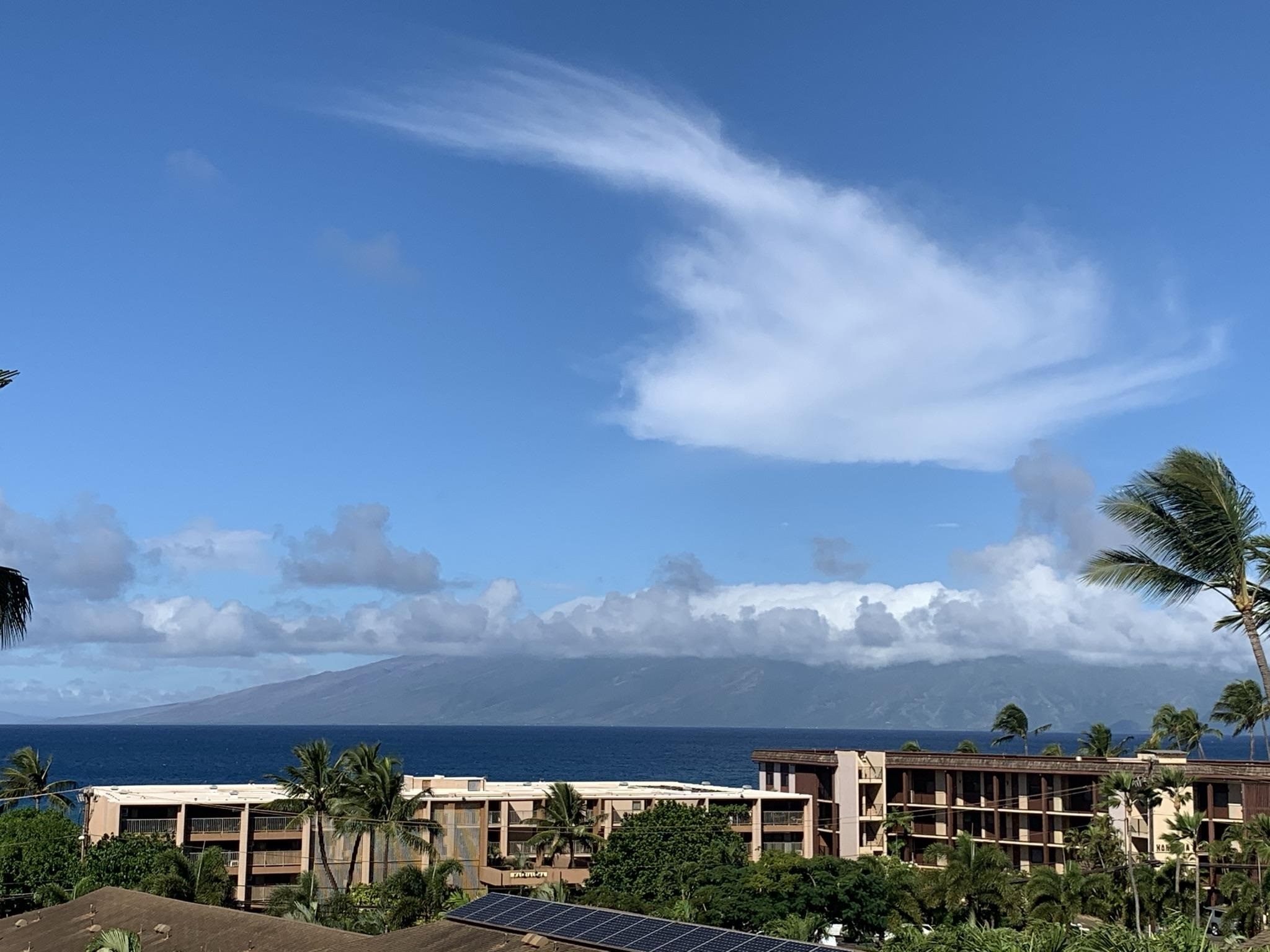 Maui Lani Terraces condo # C308, Lahaina, Hawaii - photo 17 of 20