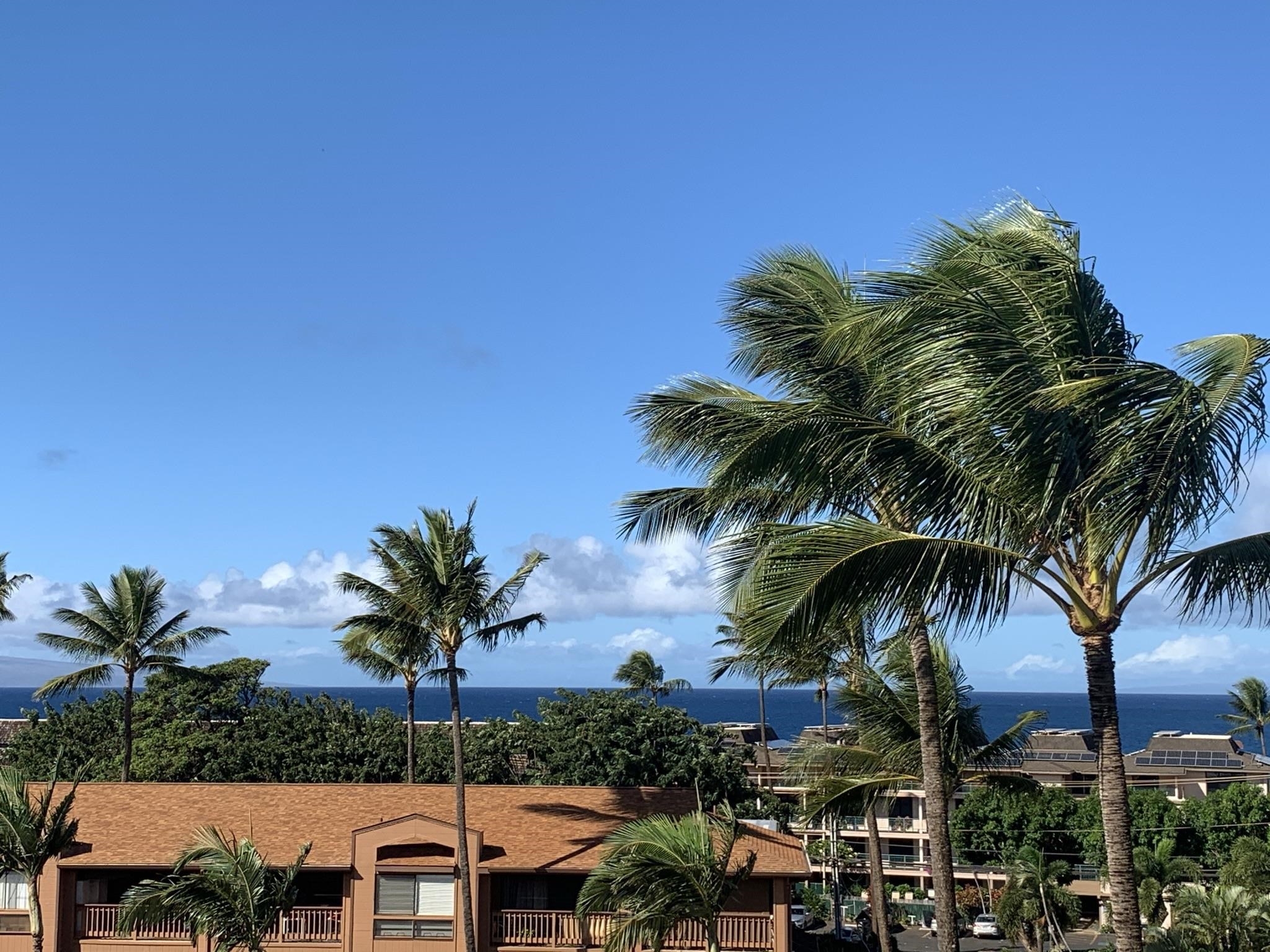 Maui Lani Terraces condo # C308, Lahaina, Hawaii - photo 18 of 20