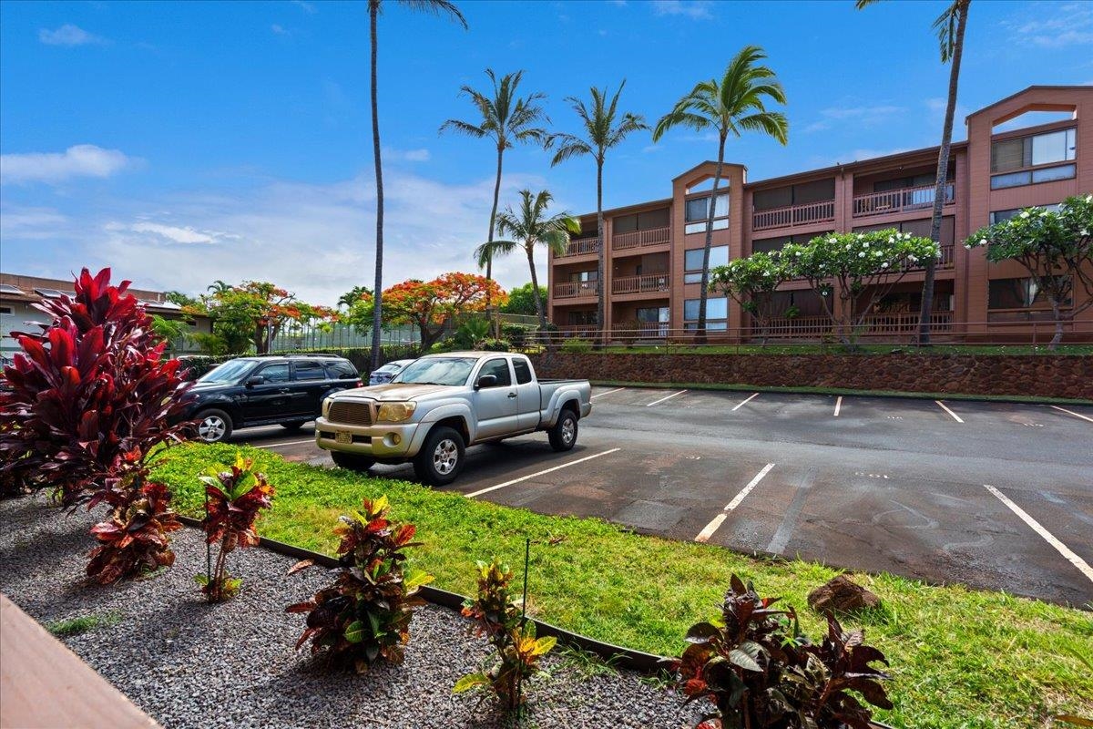 Maui Lani Terraces condo # D103, Lahaina, Hawaii - photo 34 of 37