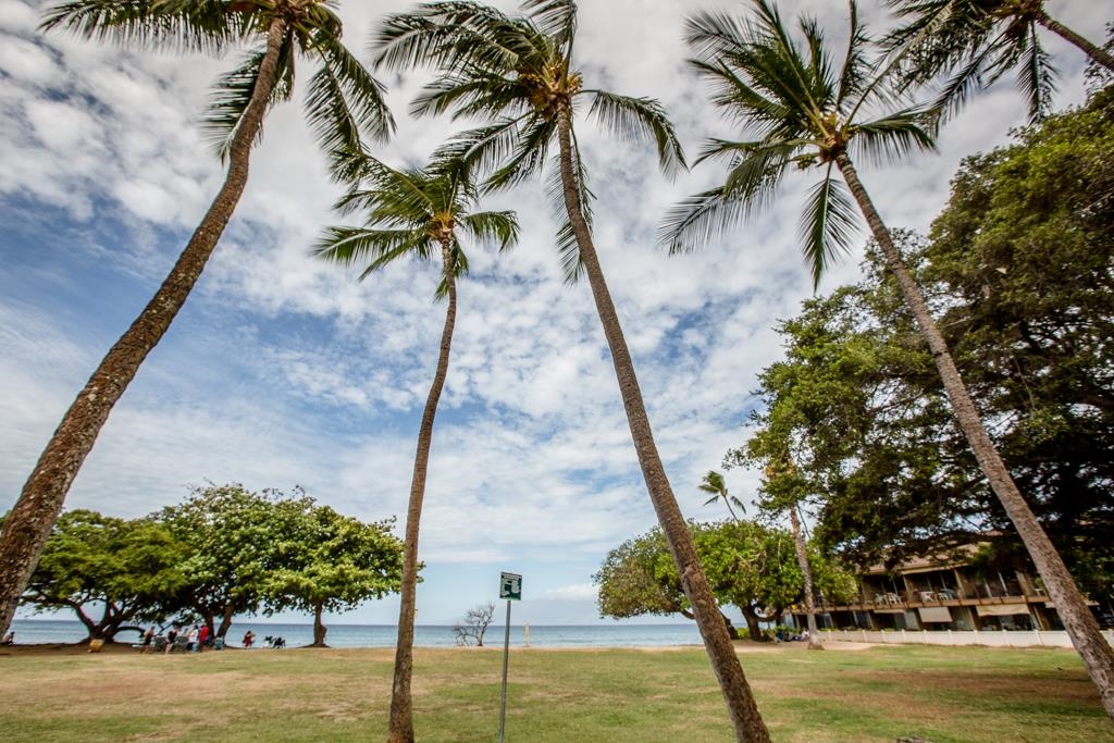 Maui Lani Terraces condo # D208, Lahaina, Hawaii - photo 24 of 29