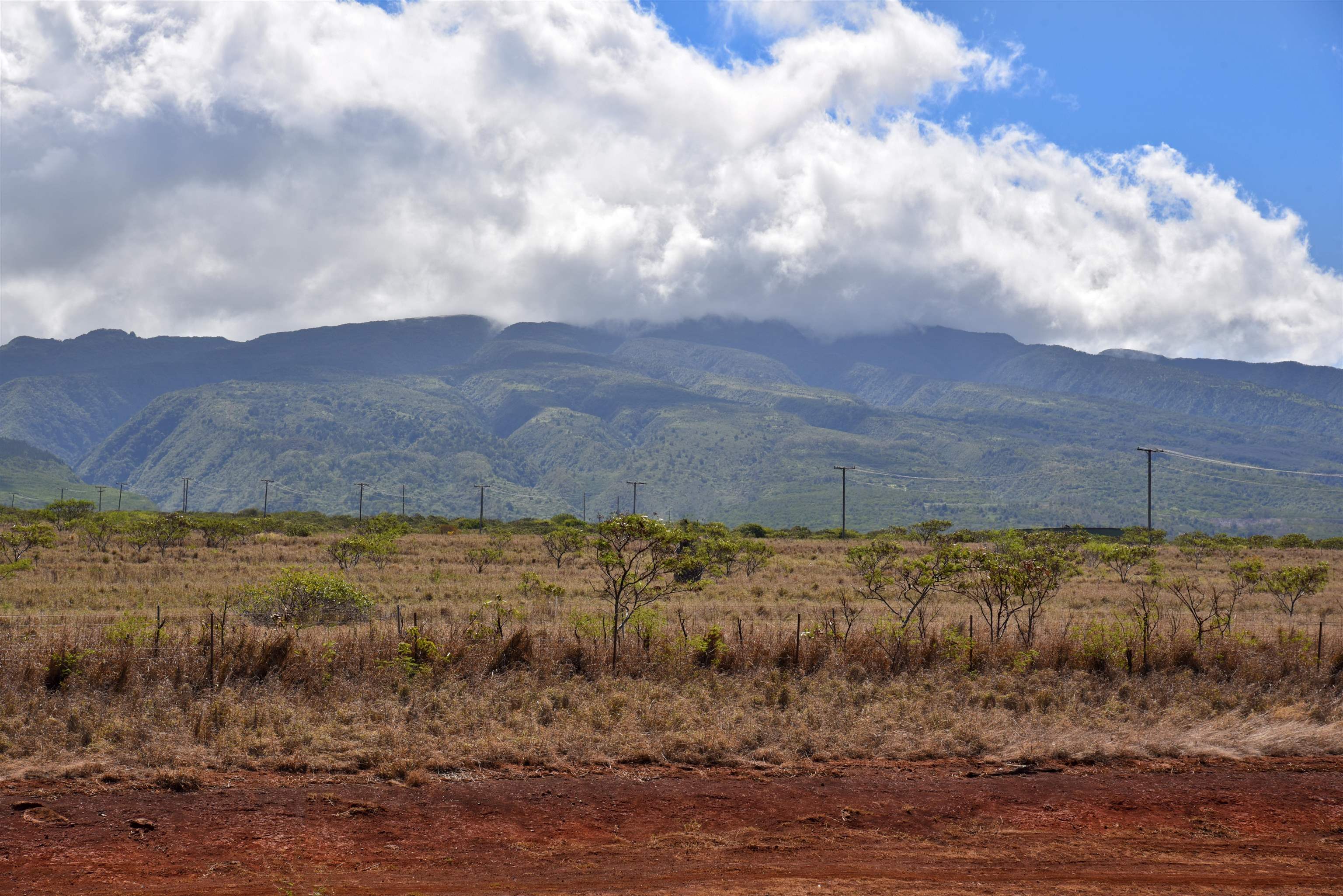 Maui Lani Terraces condo # F203, Lahaina, Hawaii - photo 10 of 30