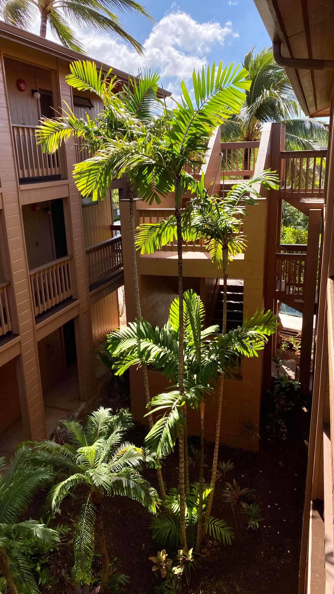 Maui Lani Terraces condo # G309, Lahaina, Hawaii - photo 14 of 17