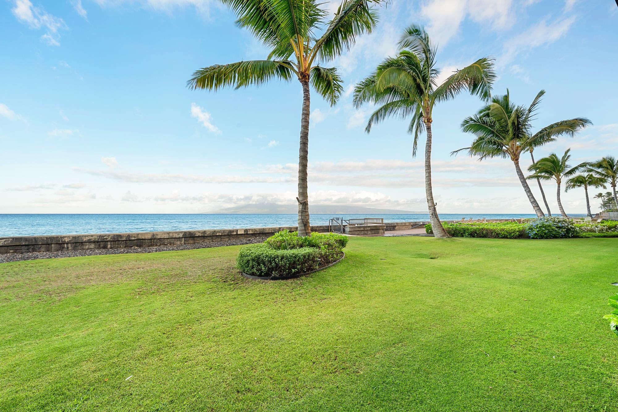 Kulakane condo # 102, Lahaina, Hawaii - photo 33 of 39