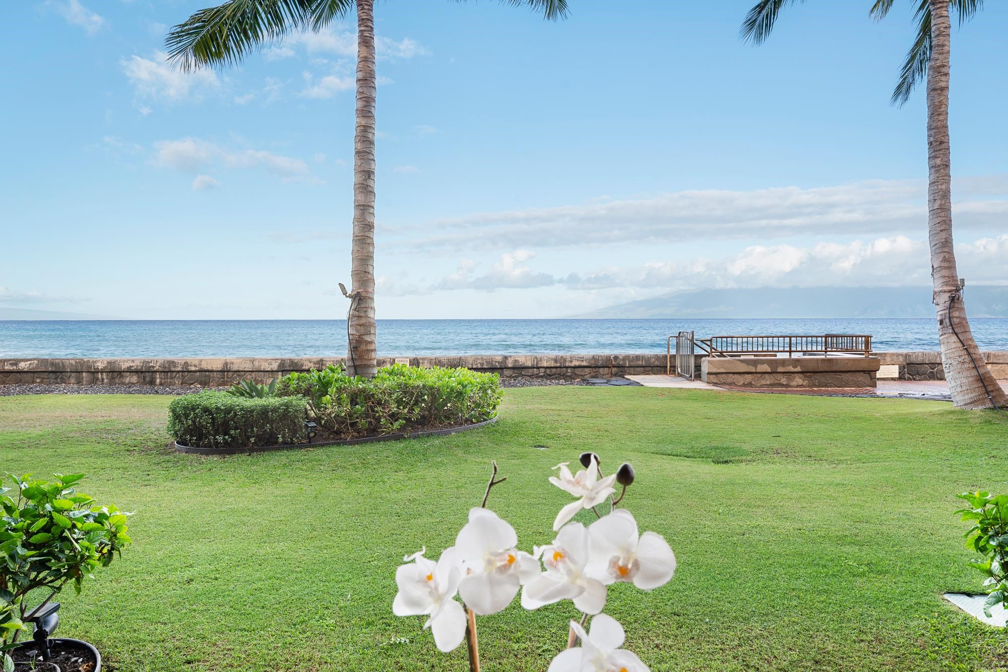 Kulakane condo # 103, Lahaina, Hawaii - photo 22 of 35