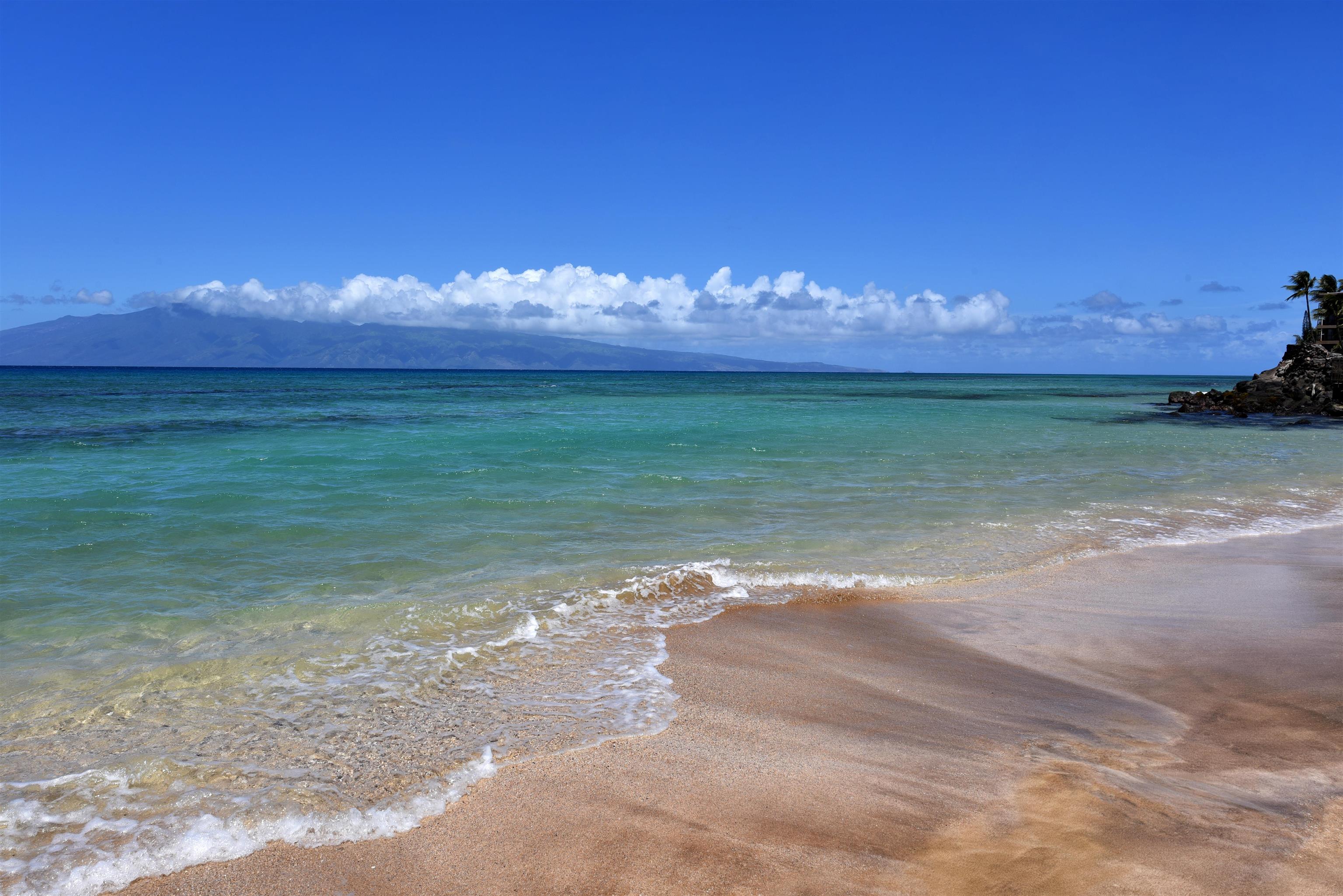 Kulakane condo # 312, Lahaina, Hawaii - photo 37 of 45