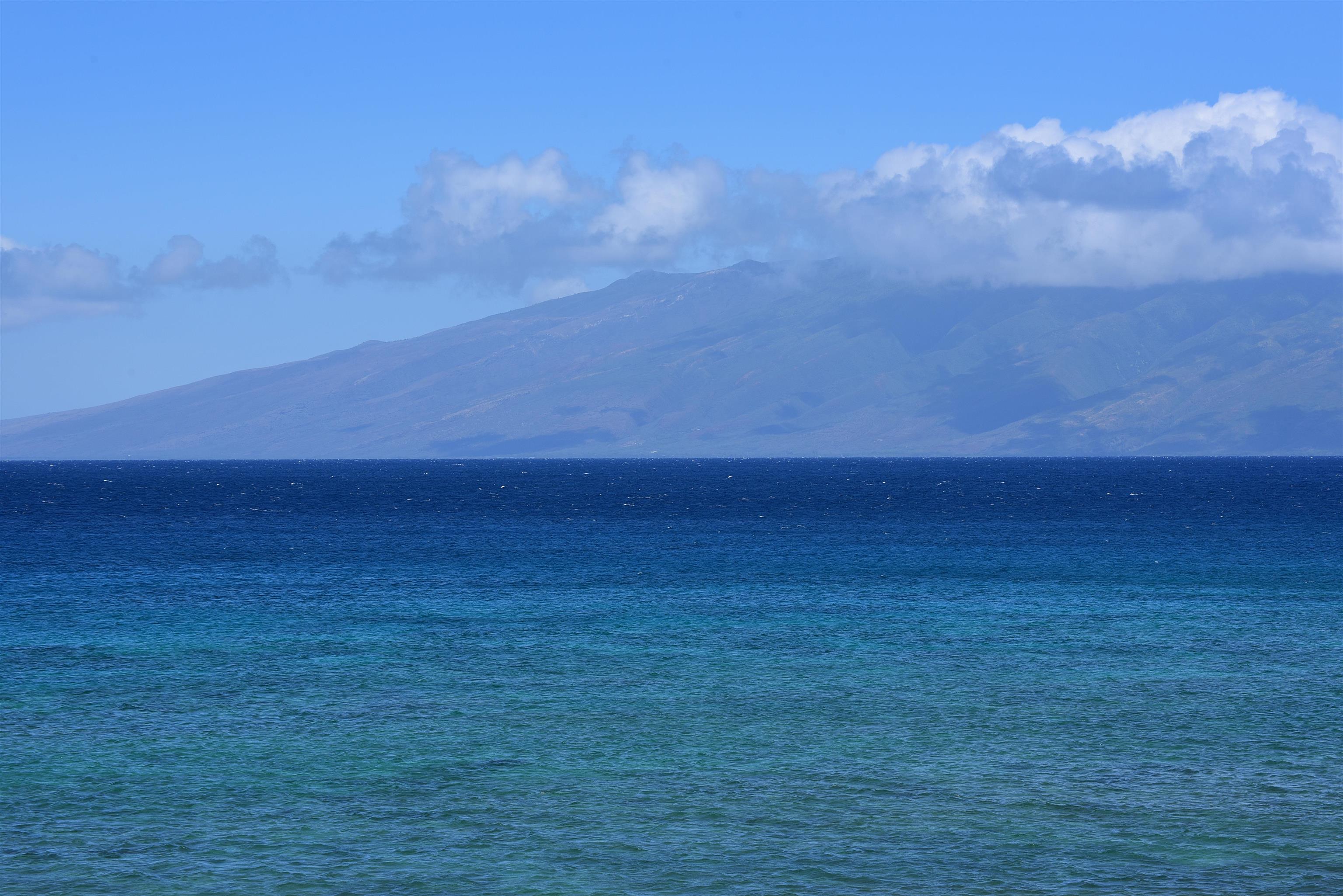 Kulakane condo # 312, Lahaina, Hawaii - photo 42 of 45