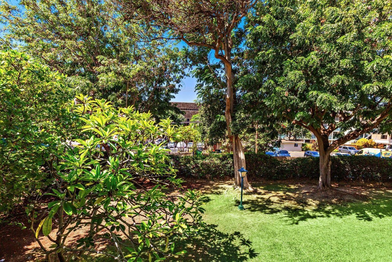 Leinani Apts condo # 202, Lahaina, Hawaii - photo 18 of 22