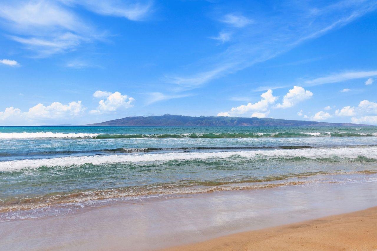 Leinani Apts condo # 202, Lahaina, Hawaii - photo 21 of 22