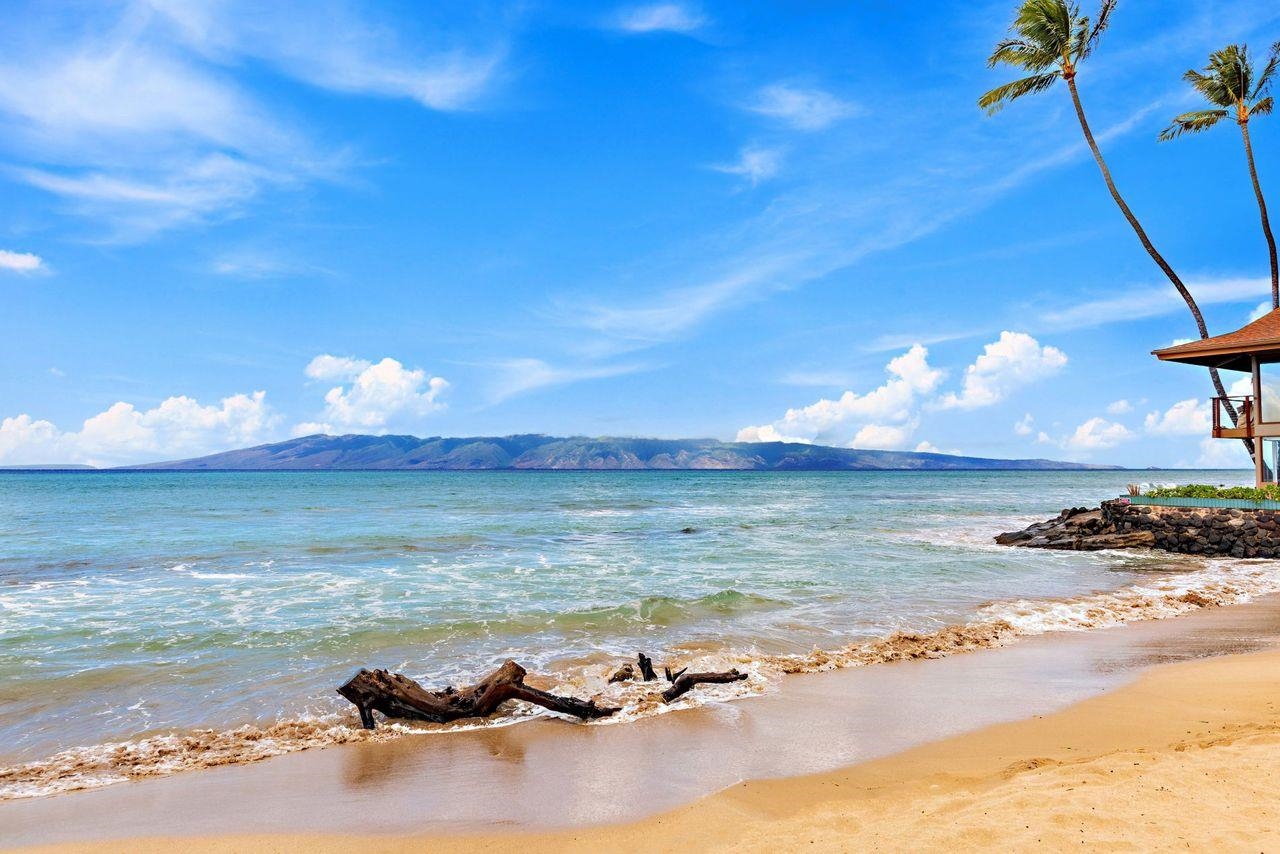 Leinani Apts condo # 202, Lahaina, Hawaii - photo 9 of 22