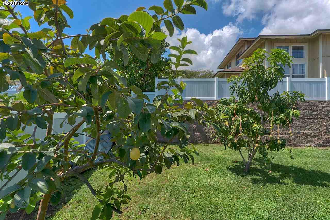 378  Maka Hou Loop The Cottages @ Kehalani, Wailuku home - photo 5 of 8