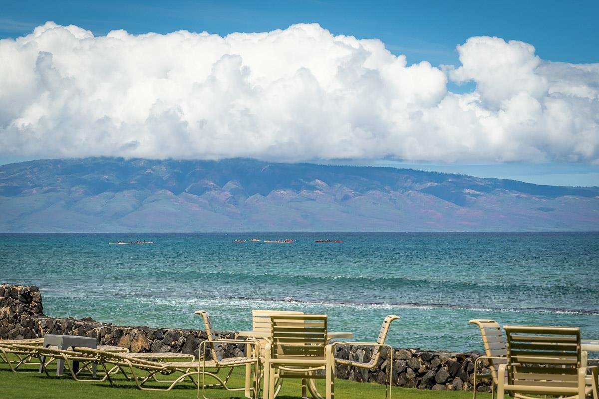 Kaleialoha condo # 101, Lahaina, Hawaii - photo 33 of 38