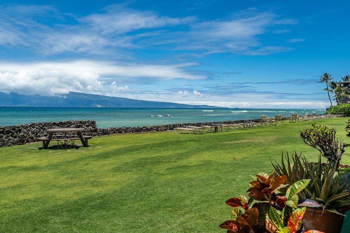 Kaleialoha condo # 101, Lahaina, Hawaii - photo 38 of 38