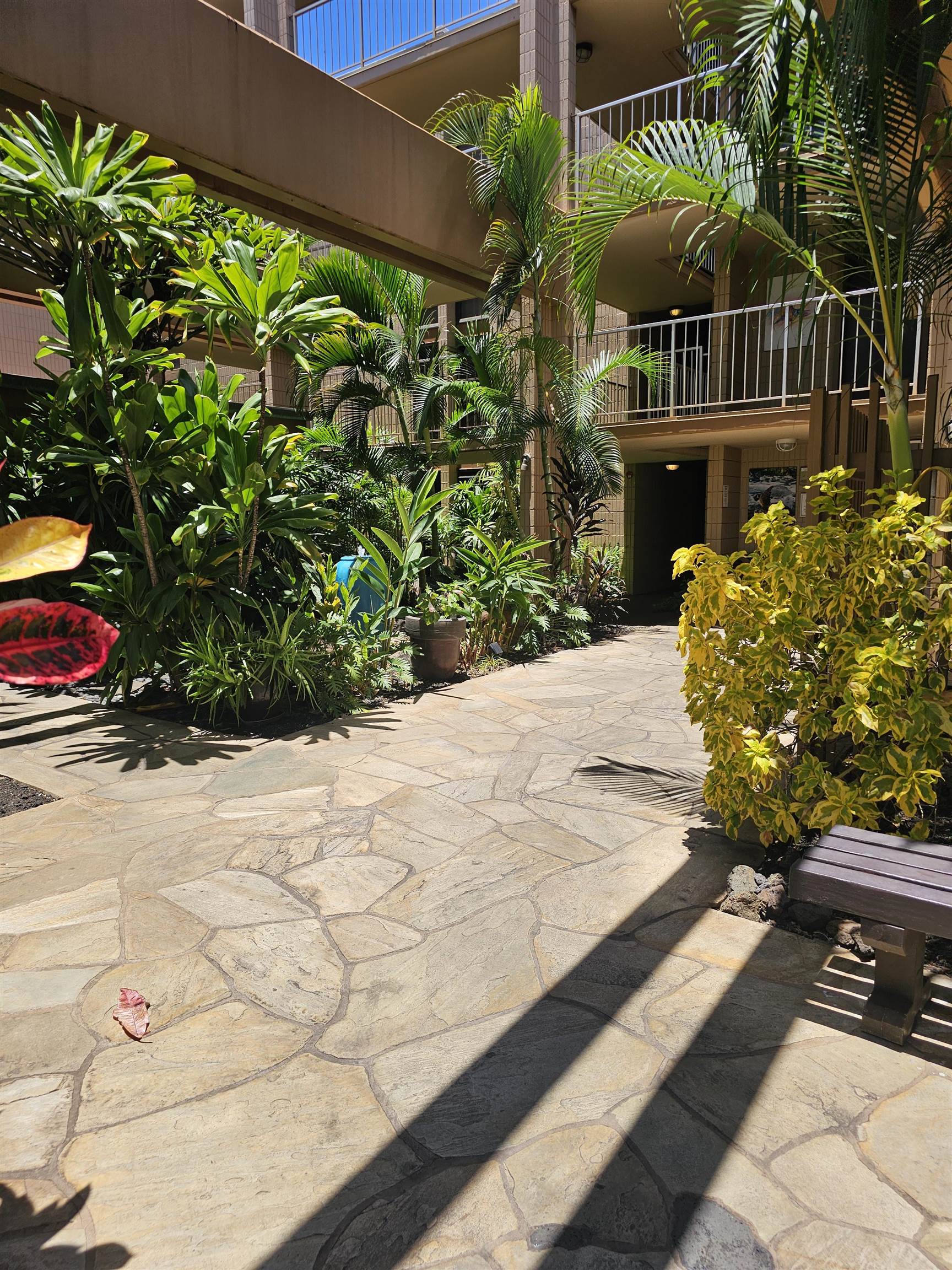 Kaleialoha condo # 103, Lahaina, Hawaii - photo 2 of 13