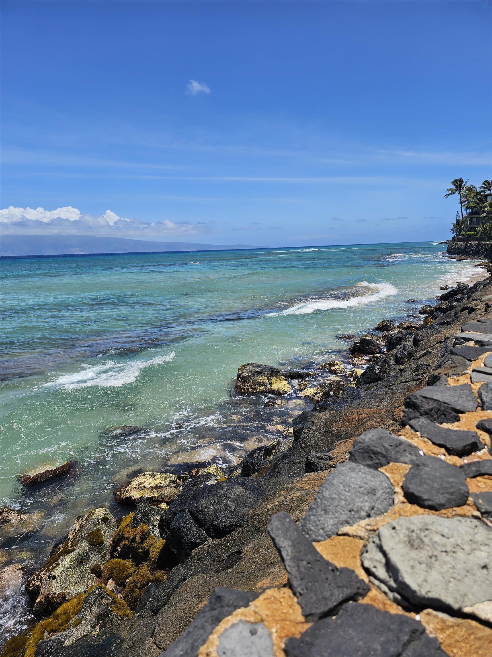 Kaleialoha condo # 103, Lahaina, Hawaii - photo 7 of 13